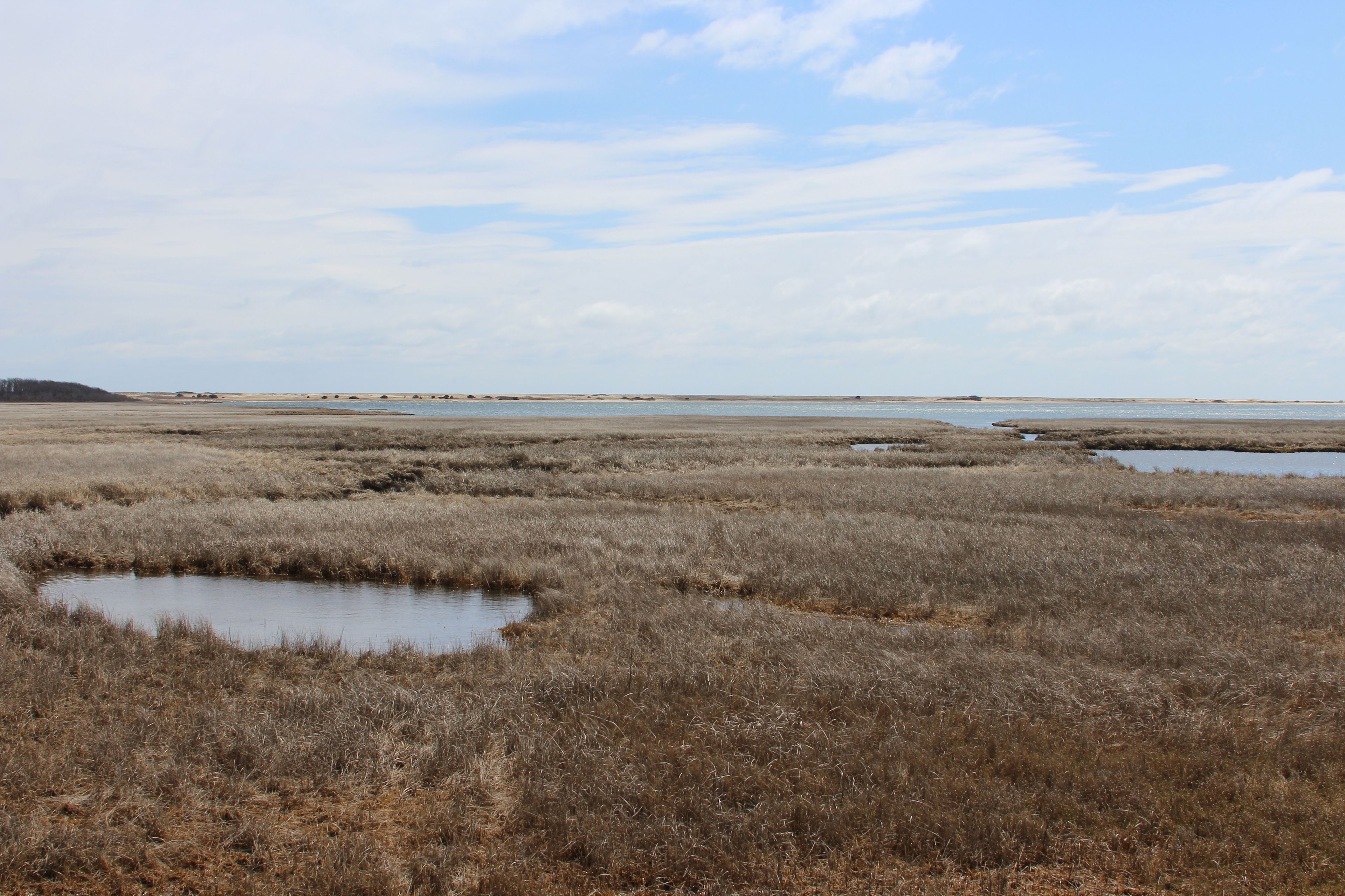 view of marsh and Poucha Pond