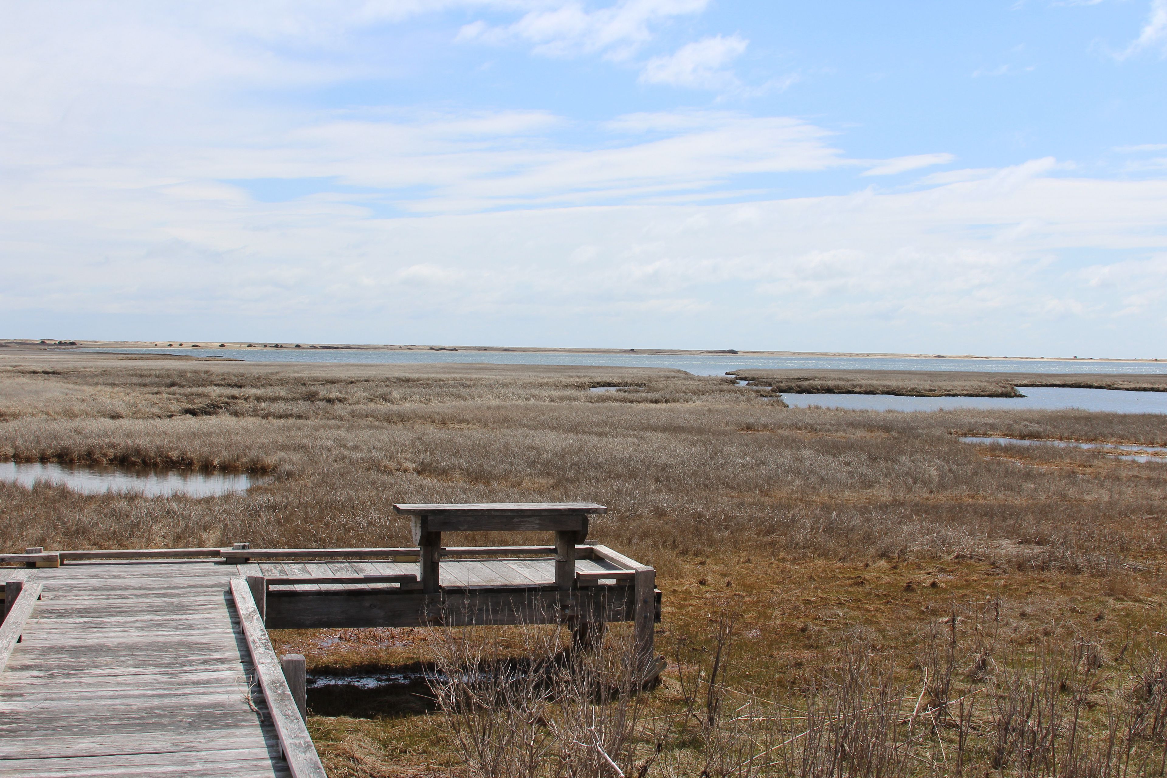 bench overlooking marsh and pond