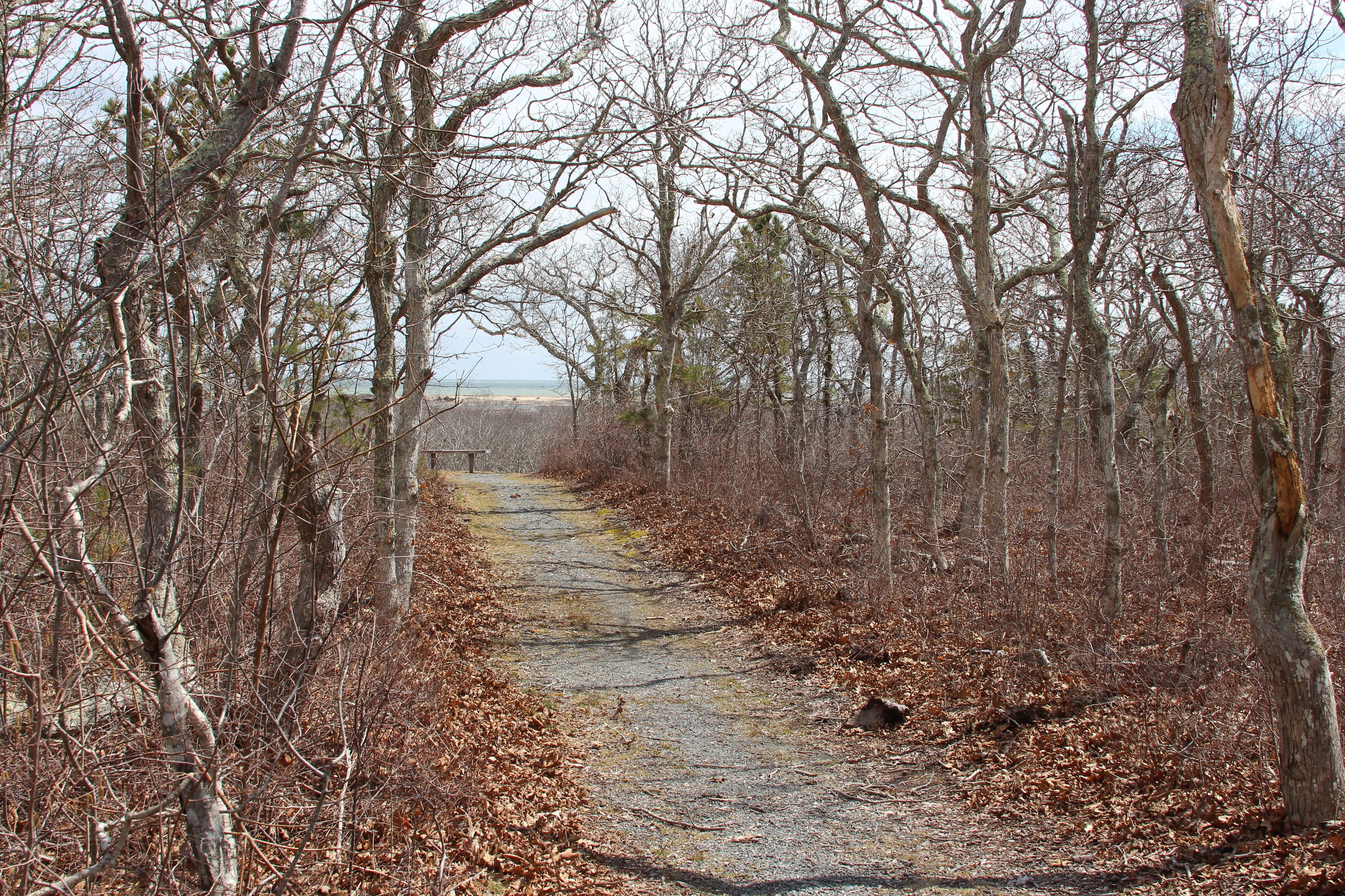 path from parking to view