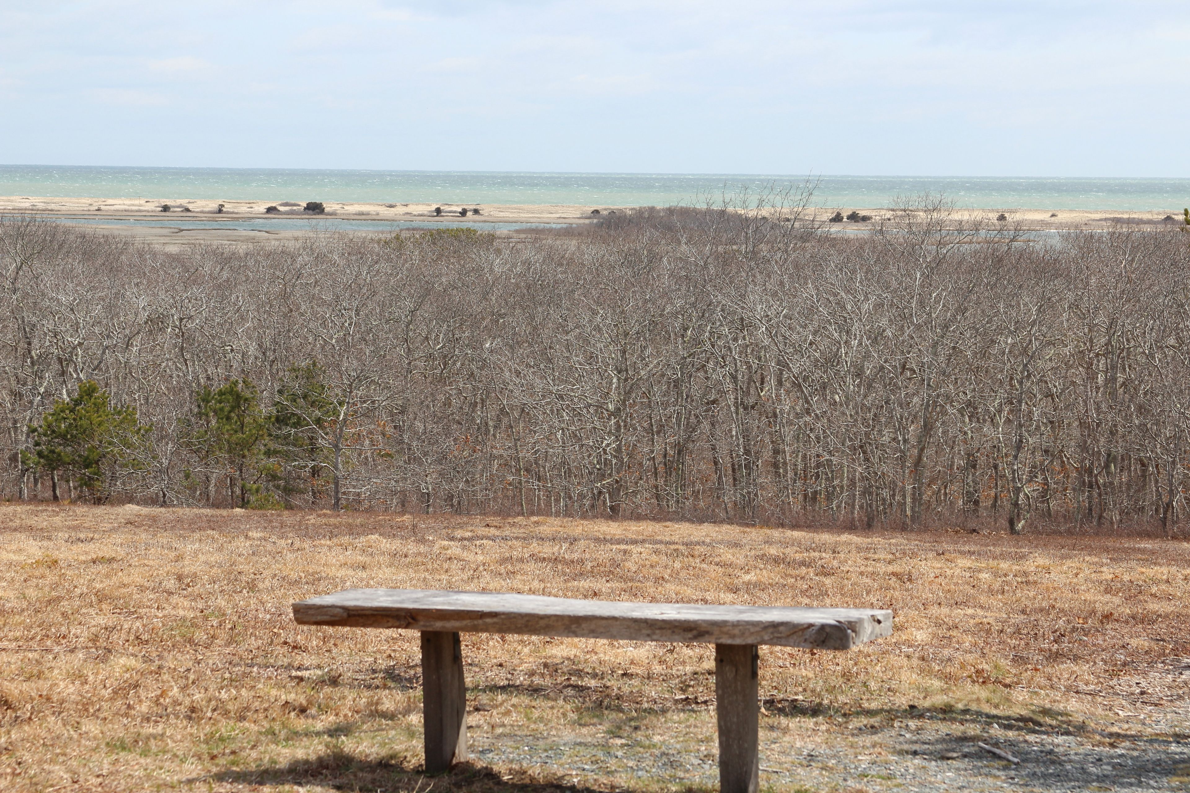 bench overlooking view