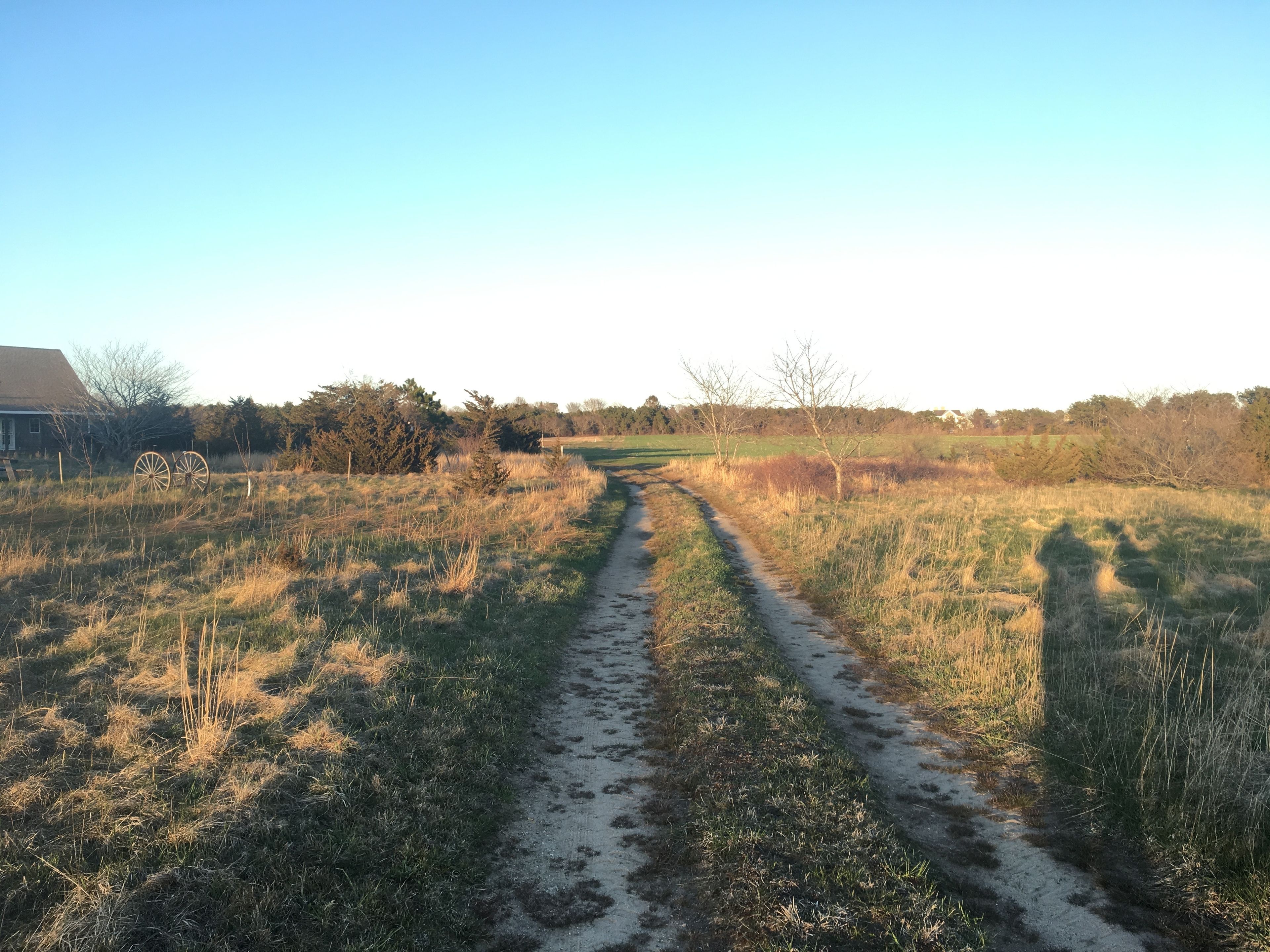 grassy road trail