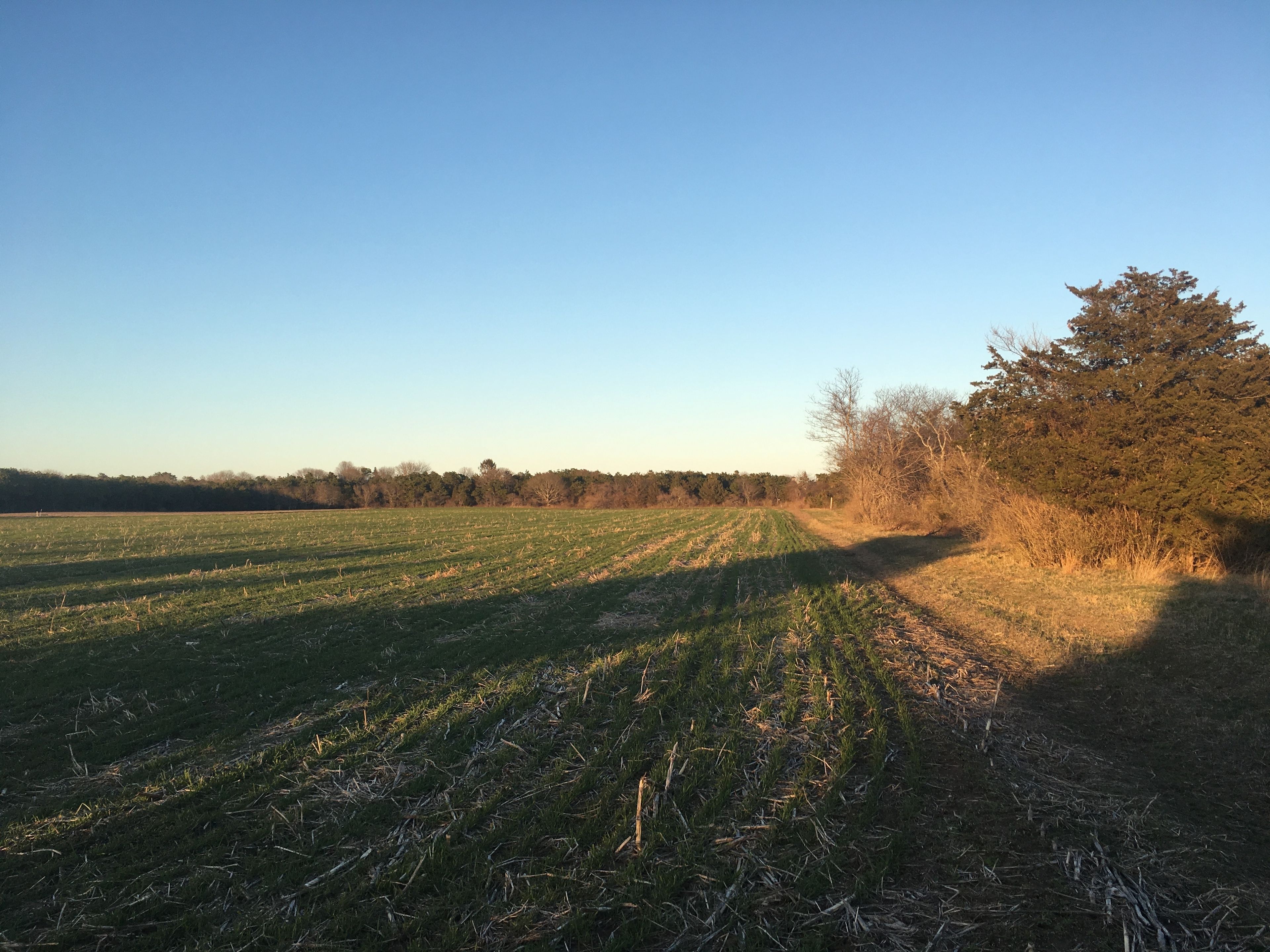 farm view