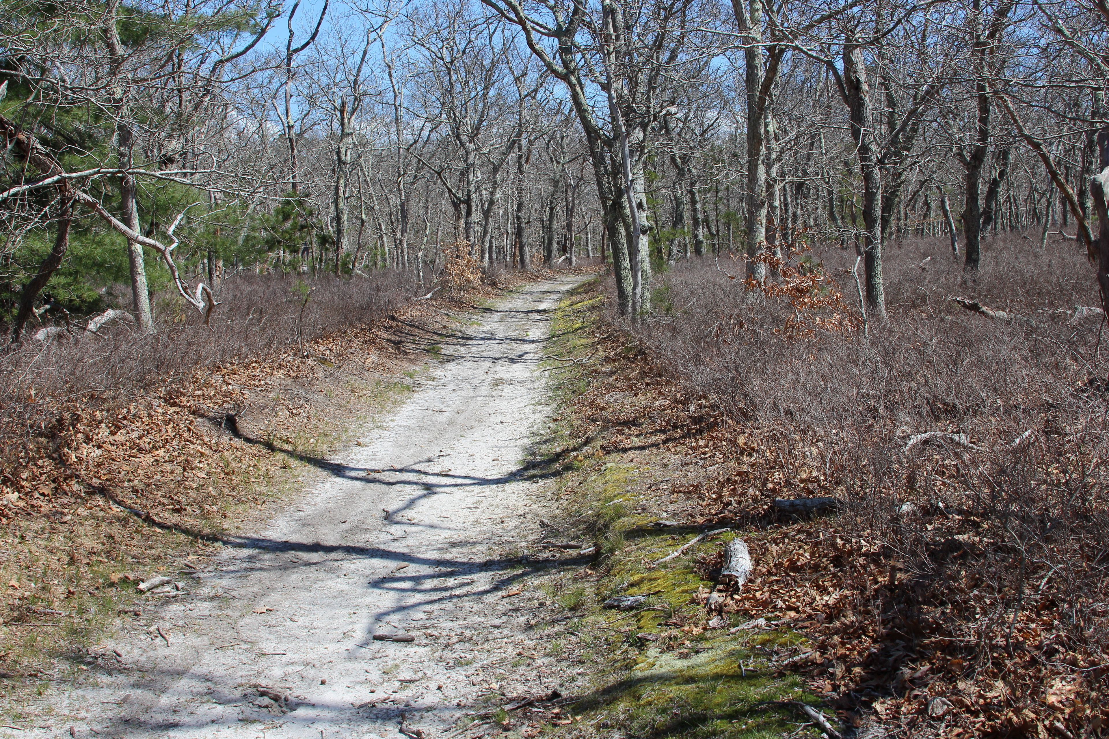 sandy, flat path