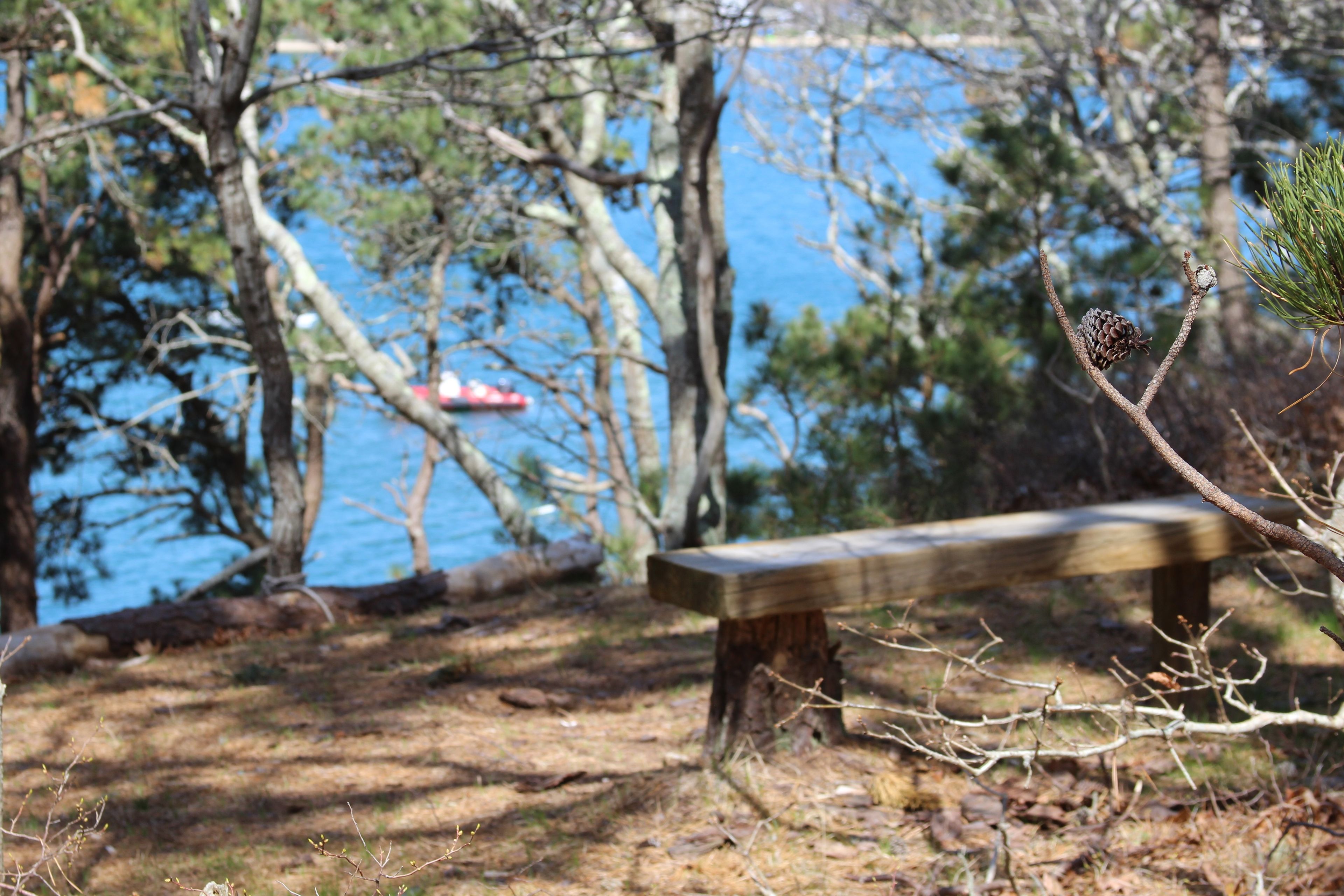 bench overlooking Lagoon