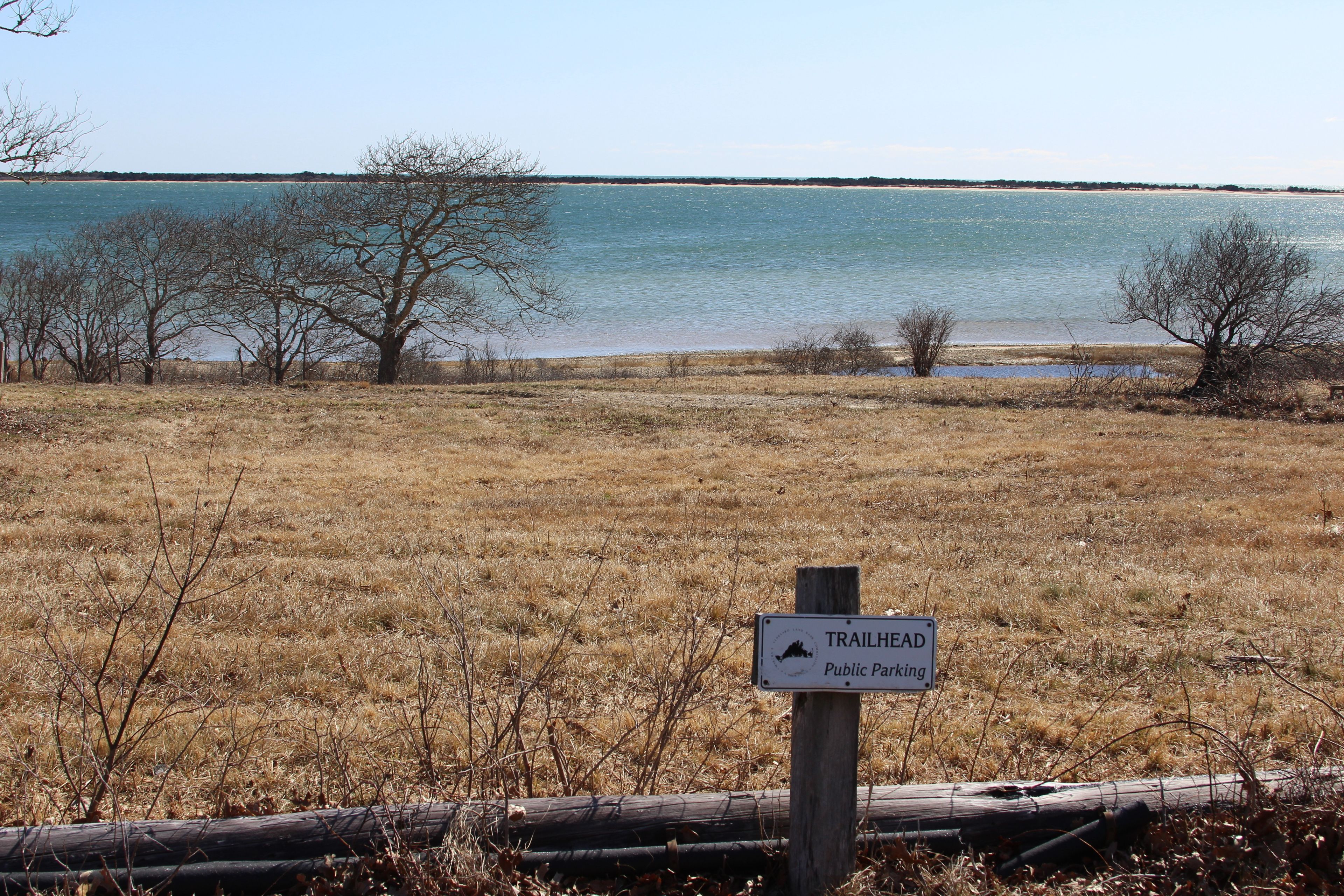 Burial Ground trailhead- early spring