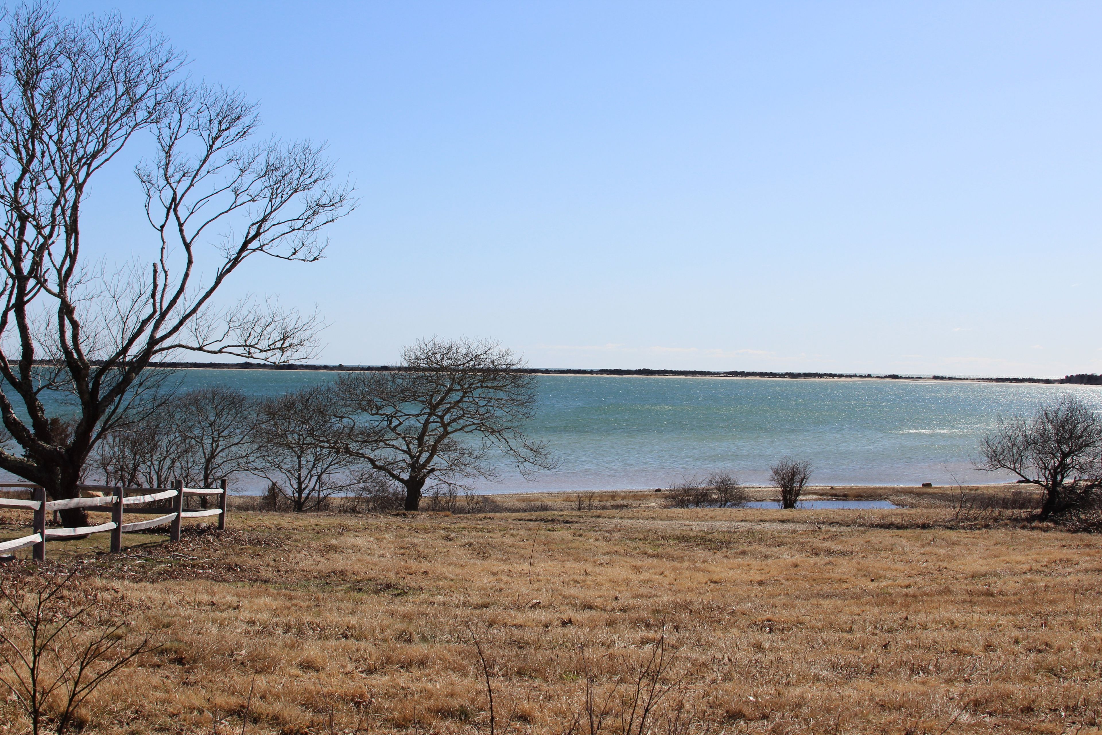 view from Burial Ground