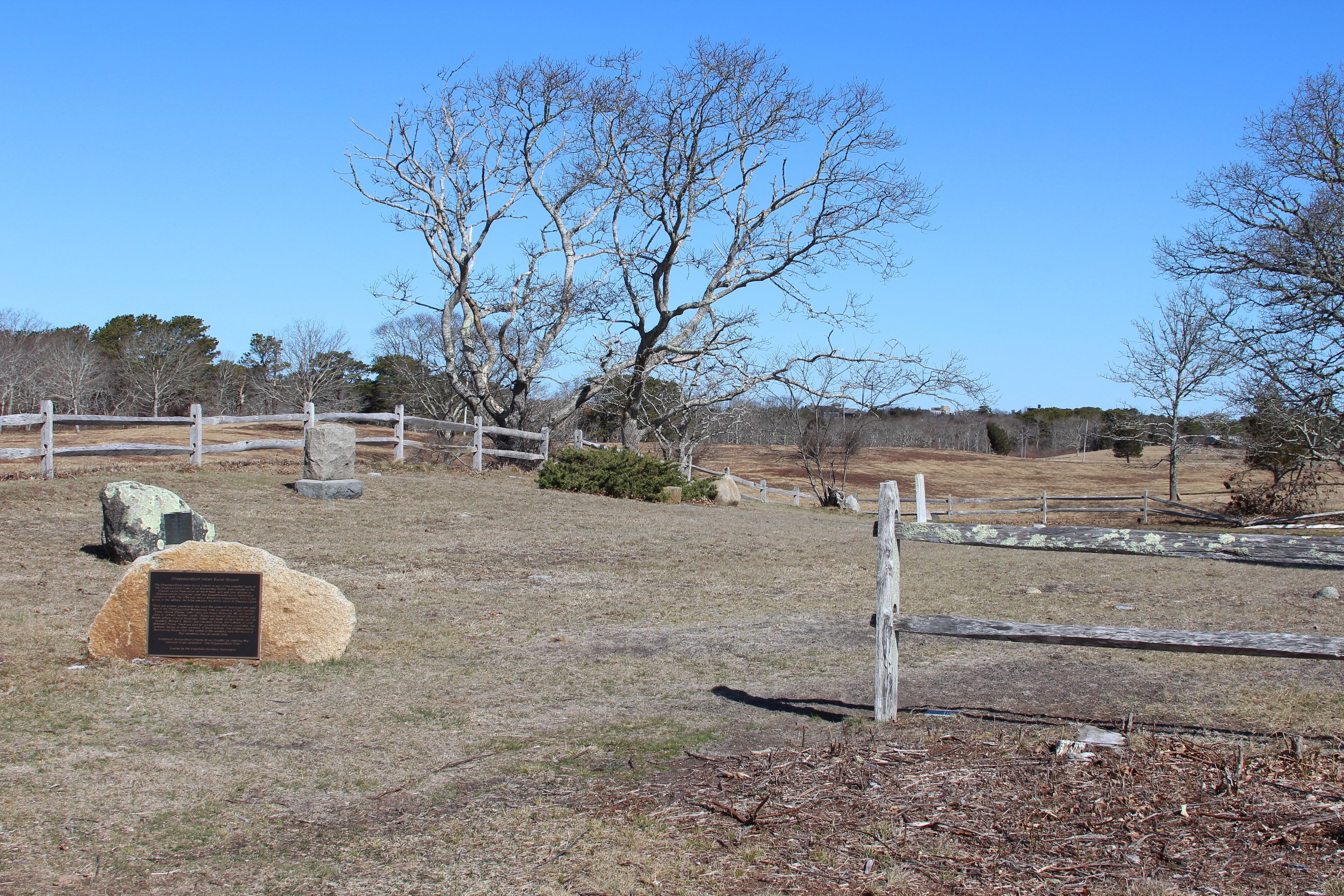 Burial Ground in early spring