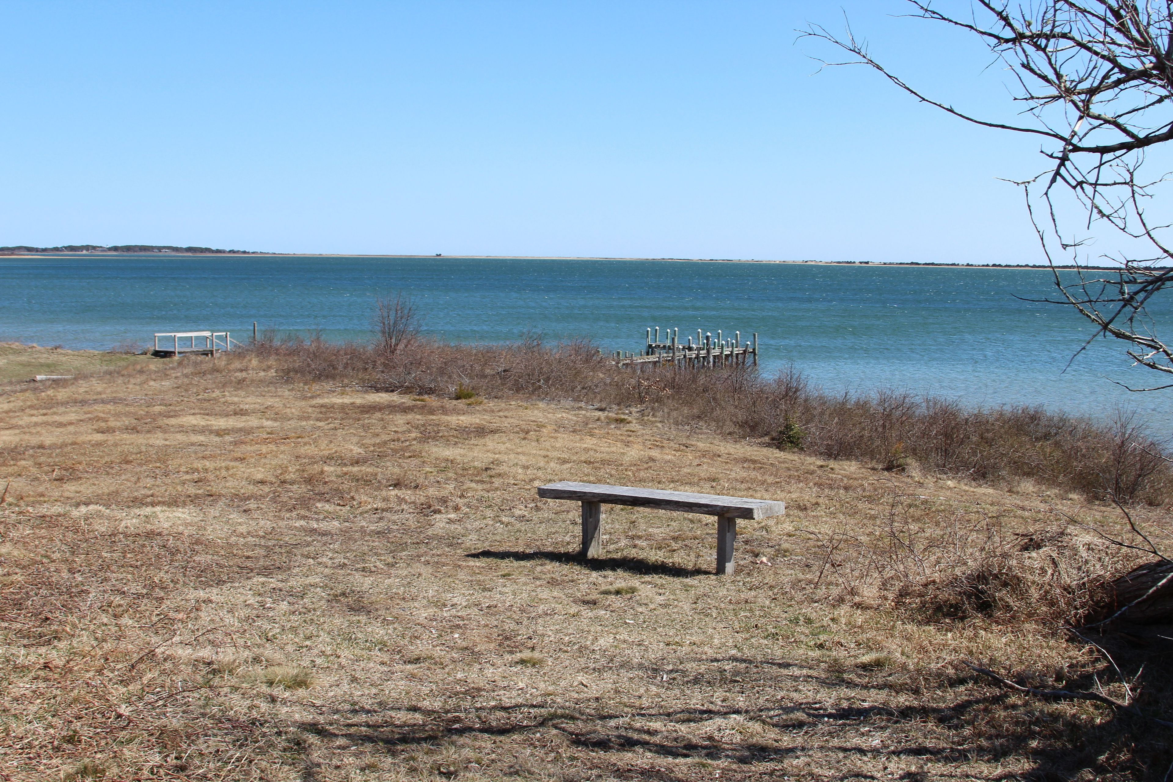 bench overlooking Cape Poge Bay