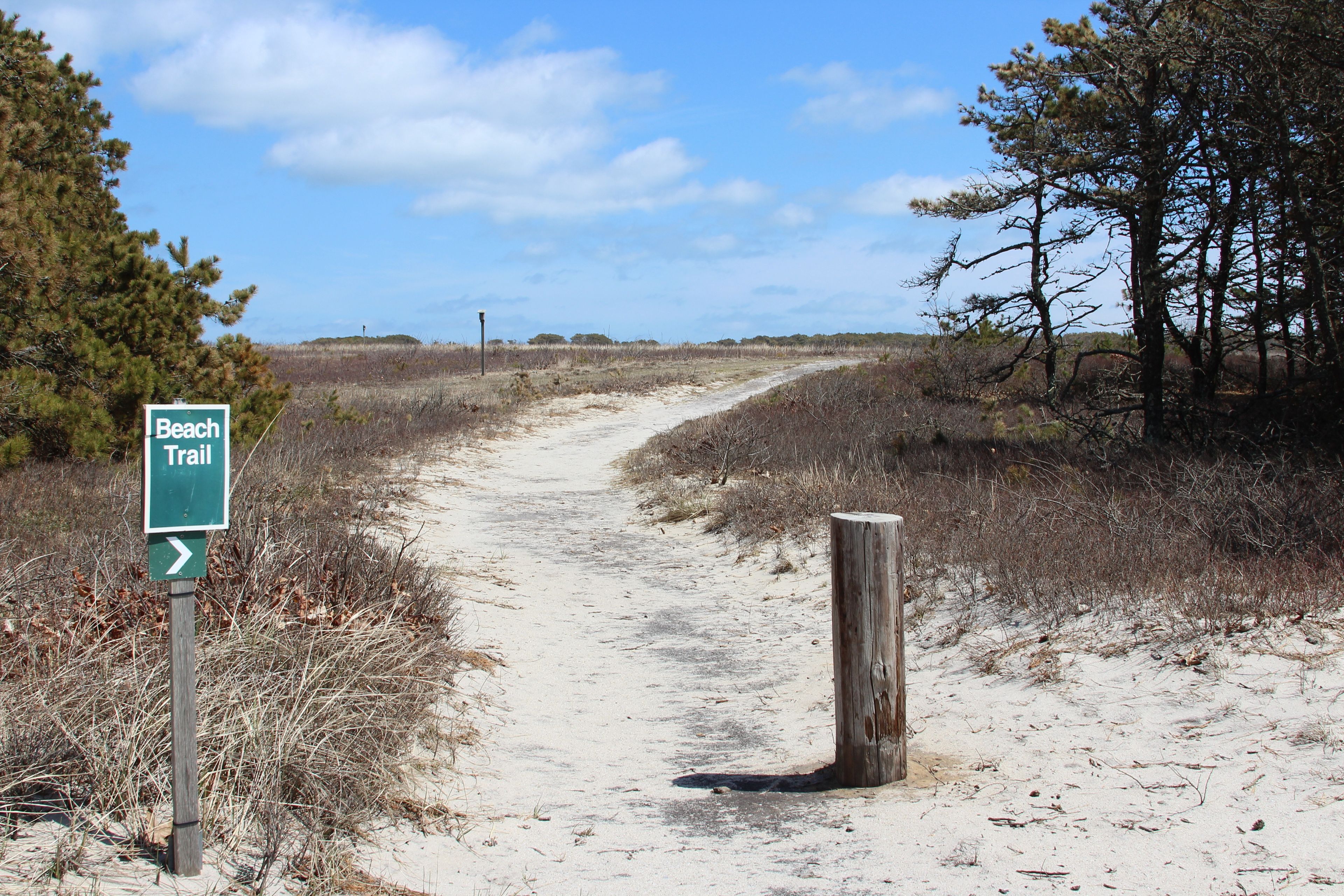 trail looking east