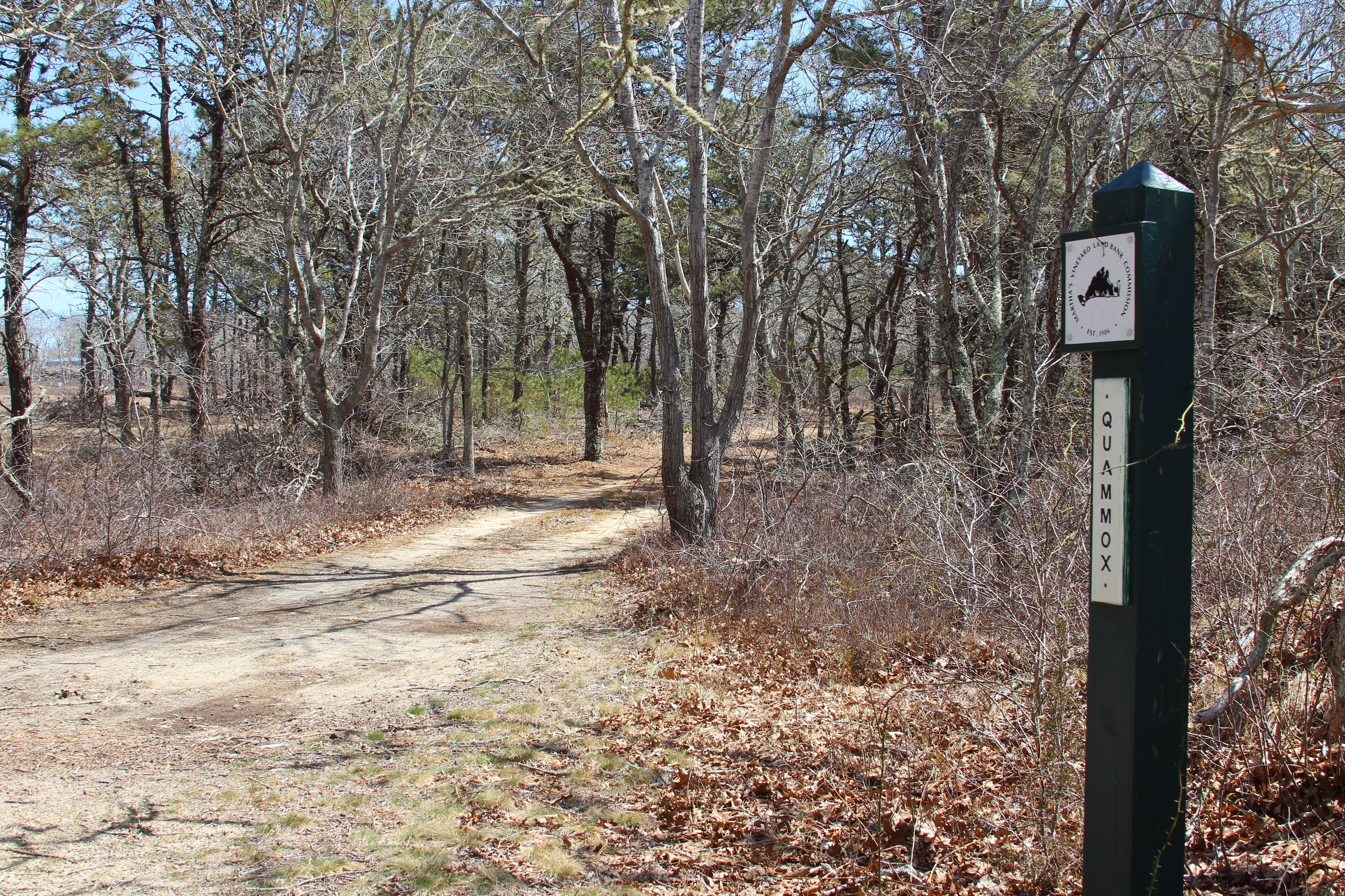 sign at Quammox Road