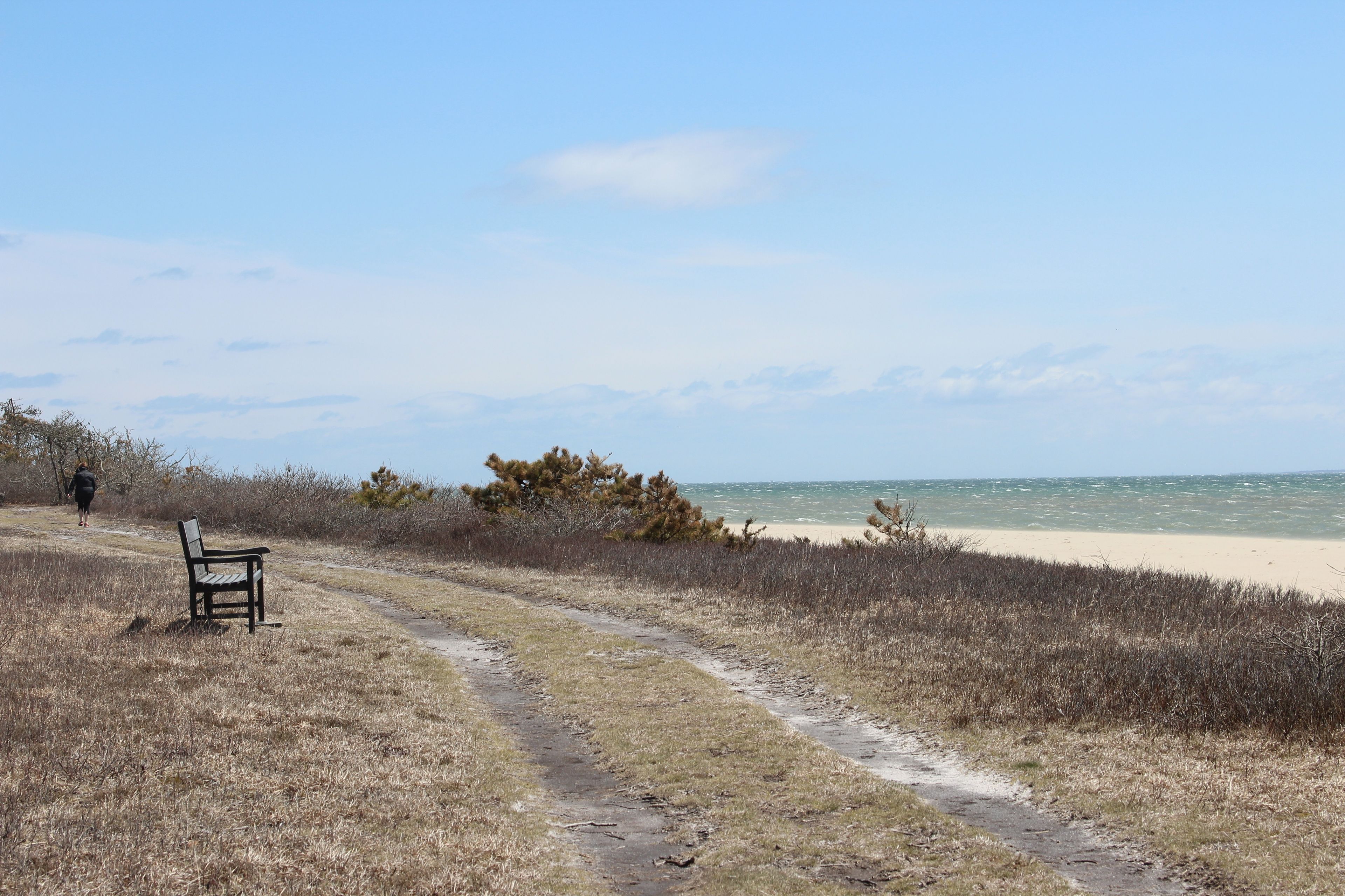 bench overlooking ocean