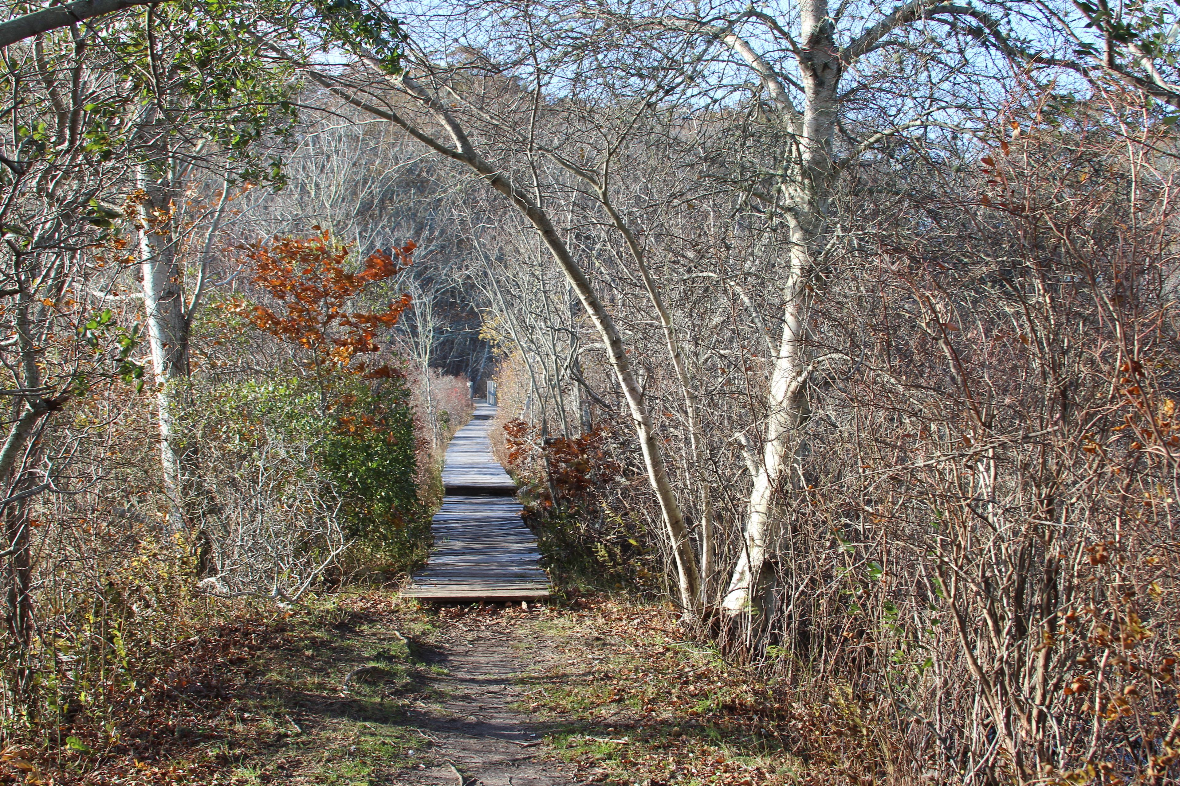 coming from trailhead, looking across bridge