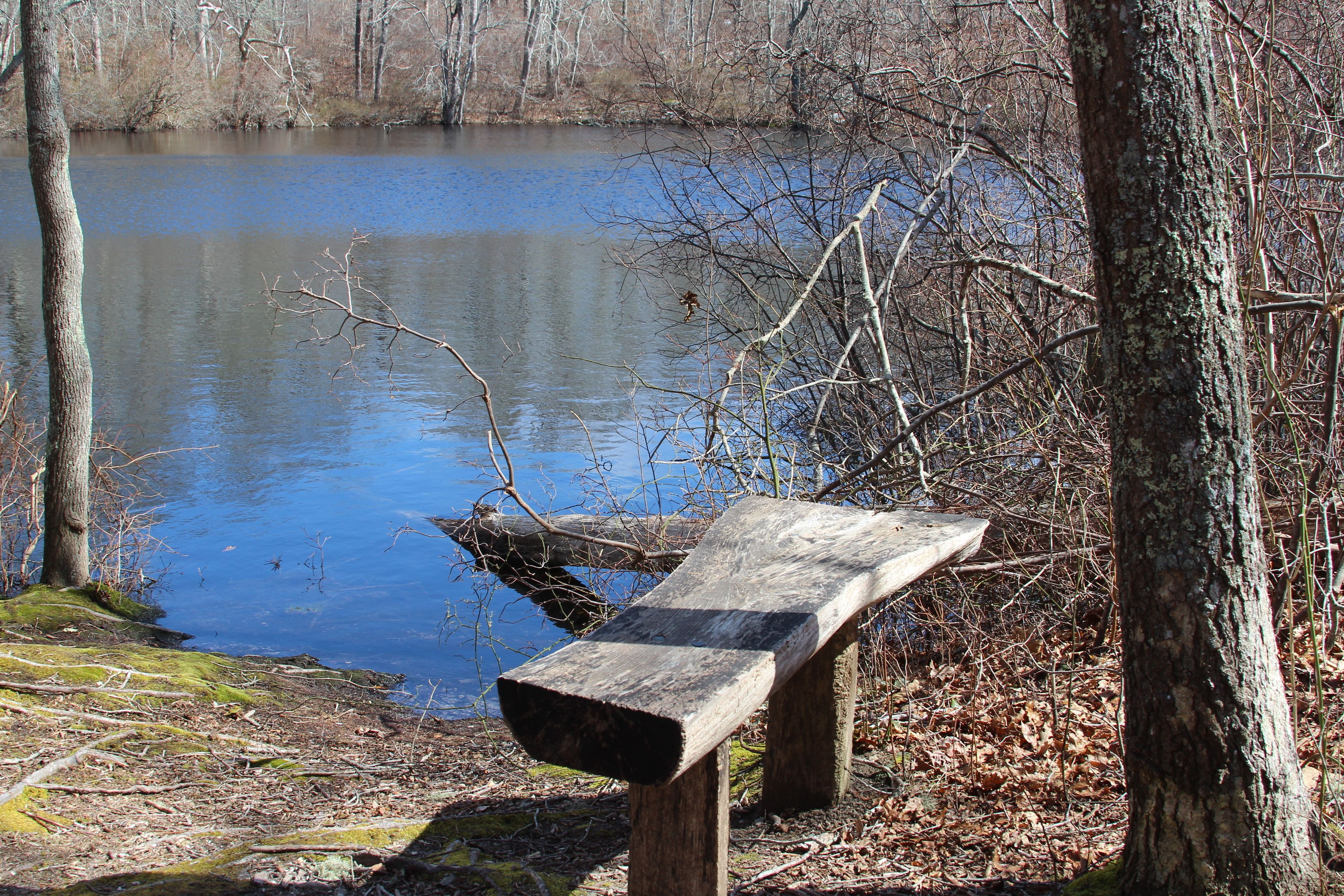 bench Turtle Pond