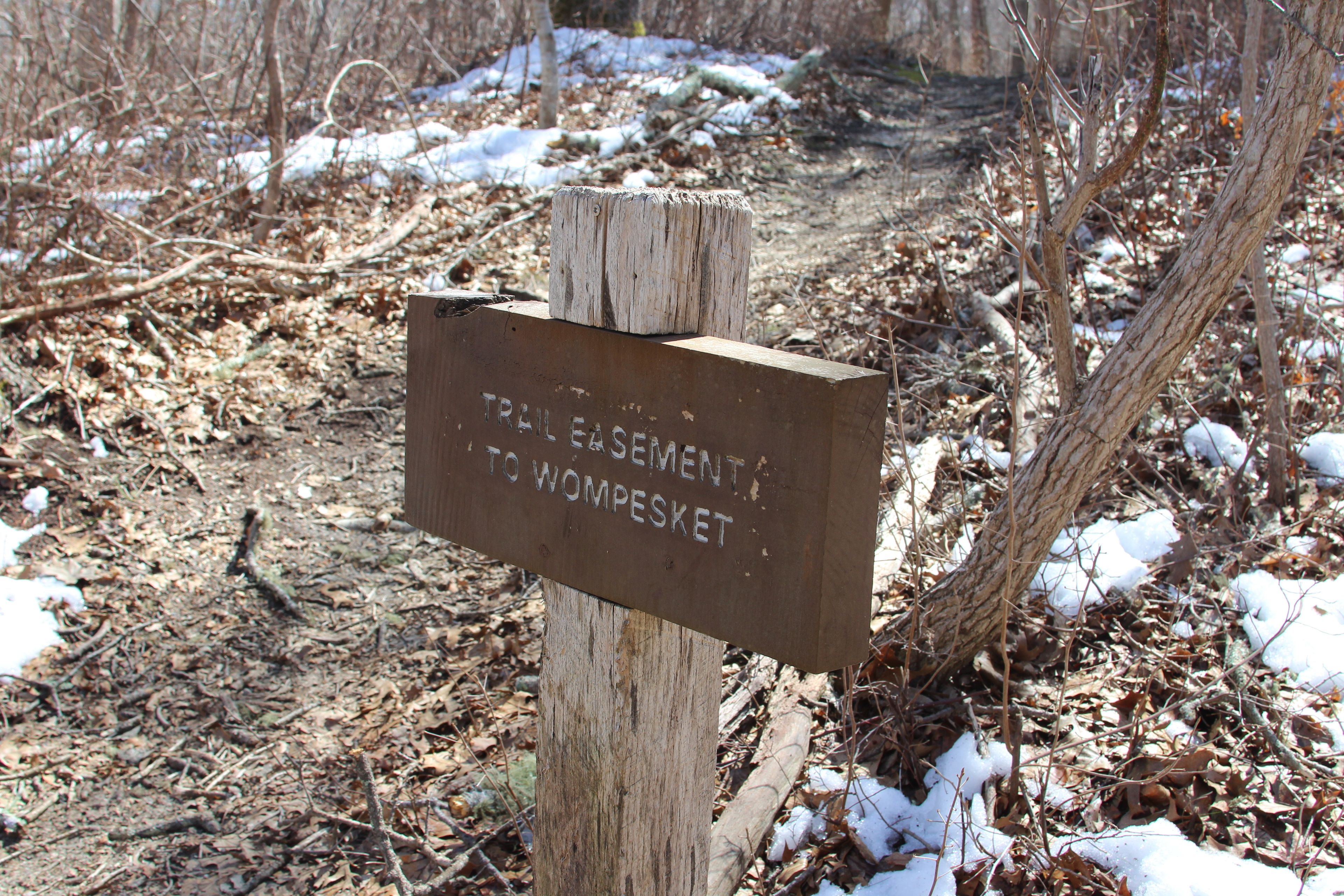 trail easement near road intersection