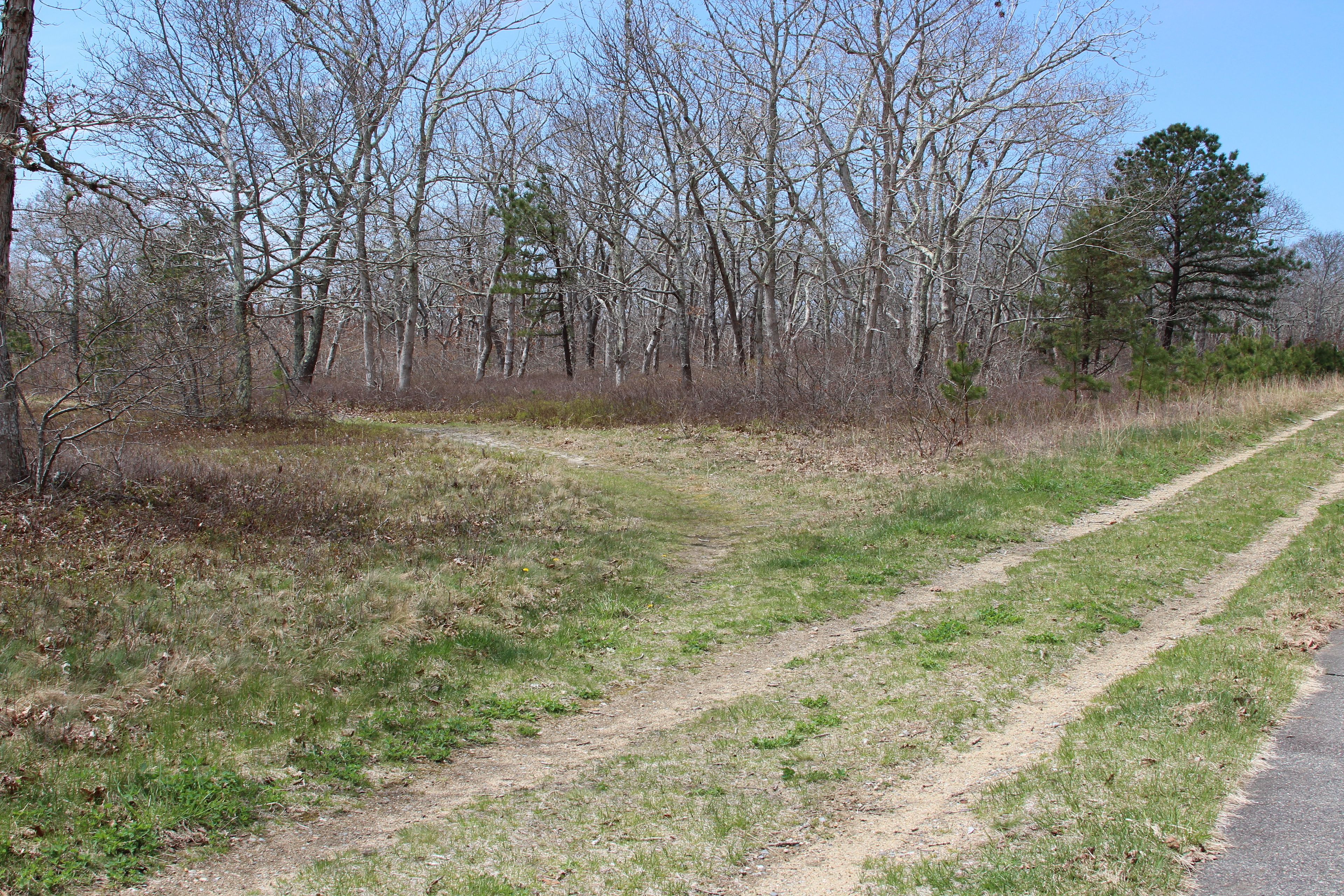 beginning of path by Deer Run parking area