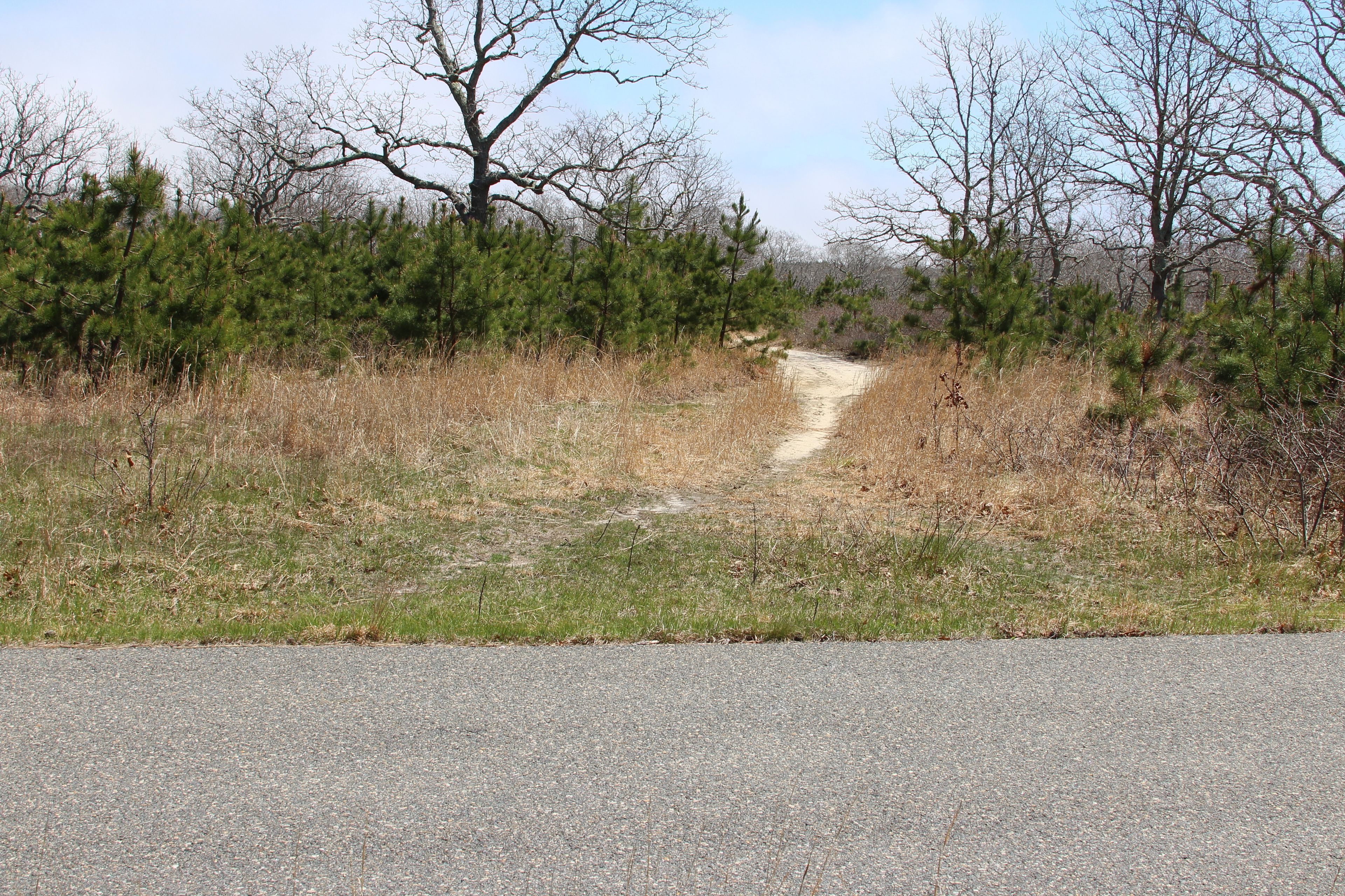 at bike path near Greenlands