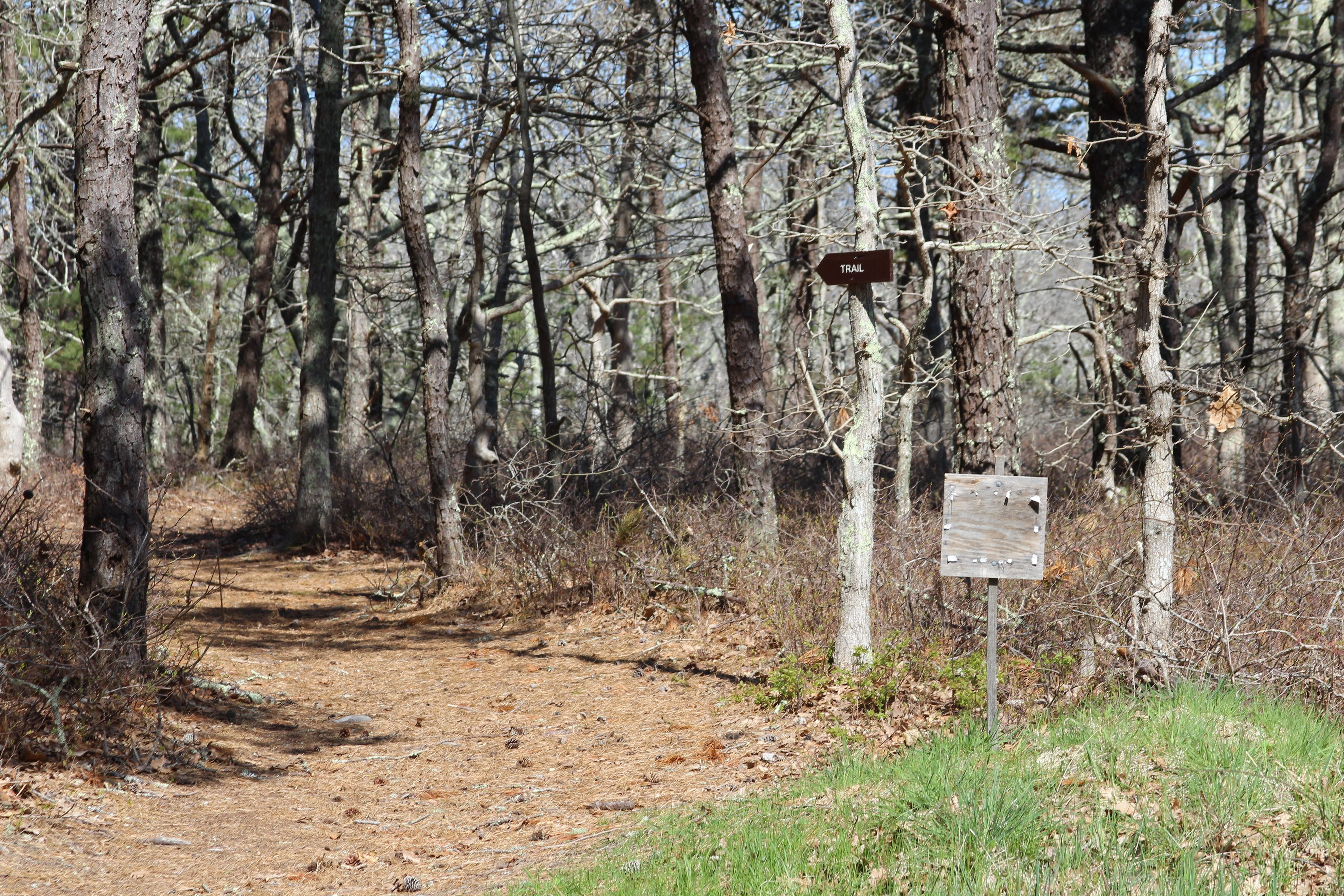 beginning of Eastern trail, opposite kayak/canoe launch