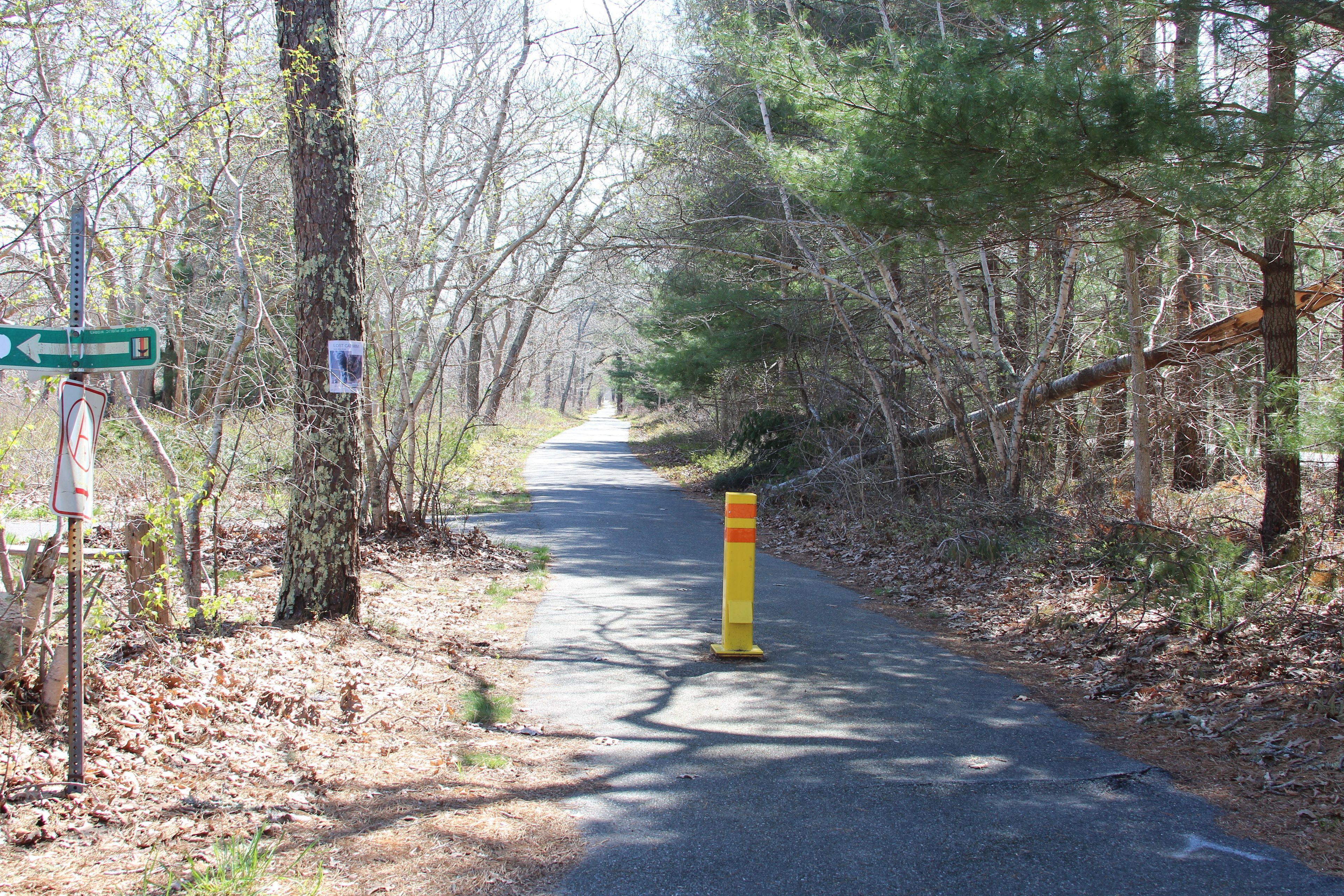 bike path leading to West Tisbury School