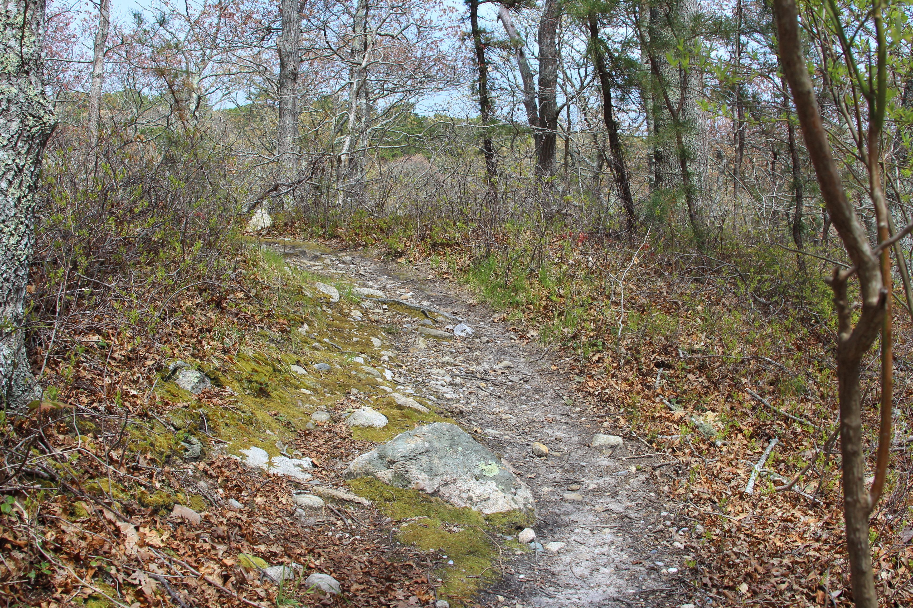 rocks on trail