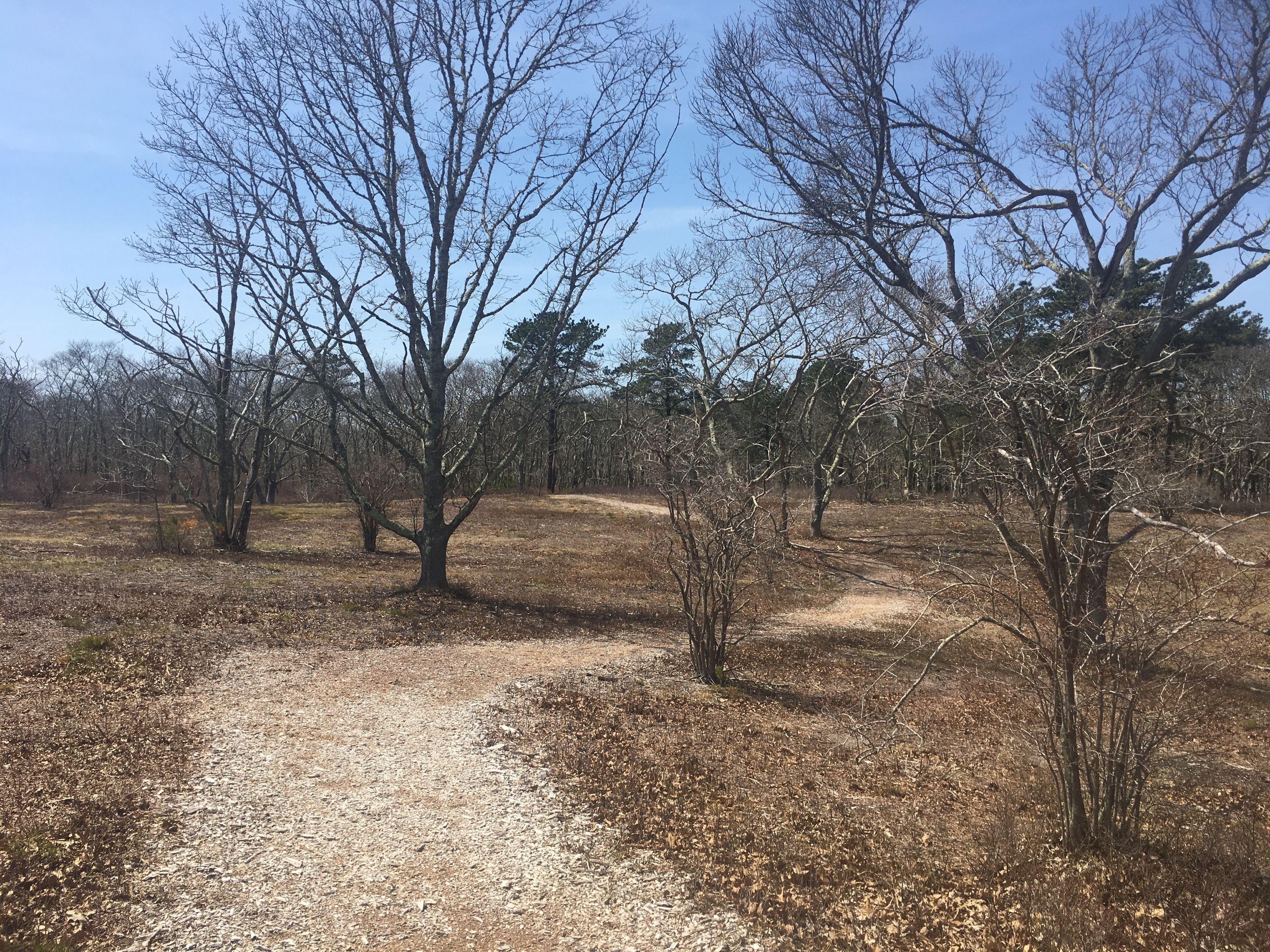 flat, open trail