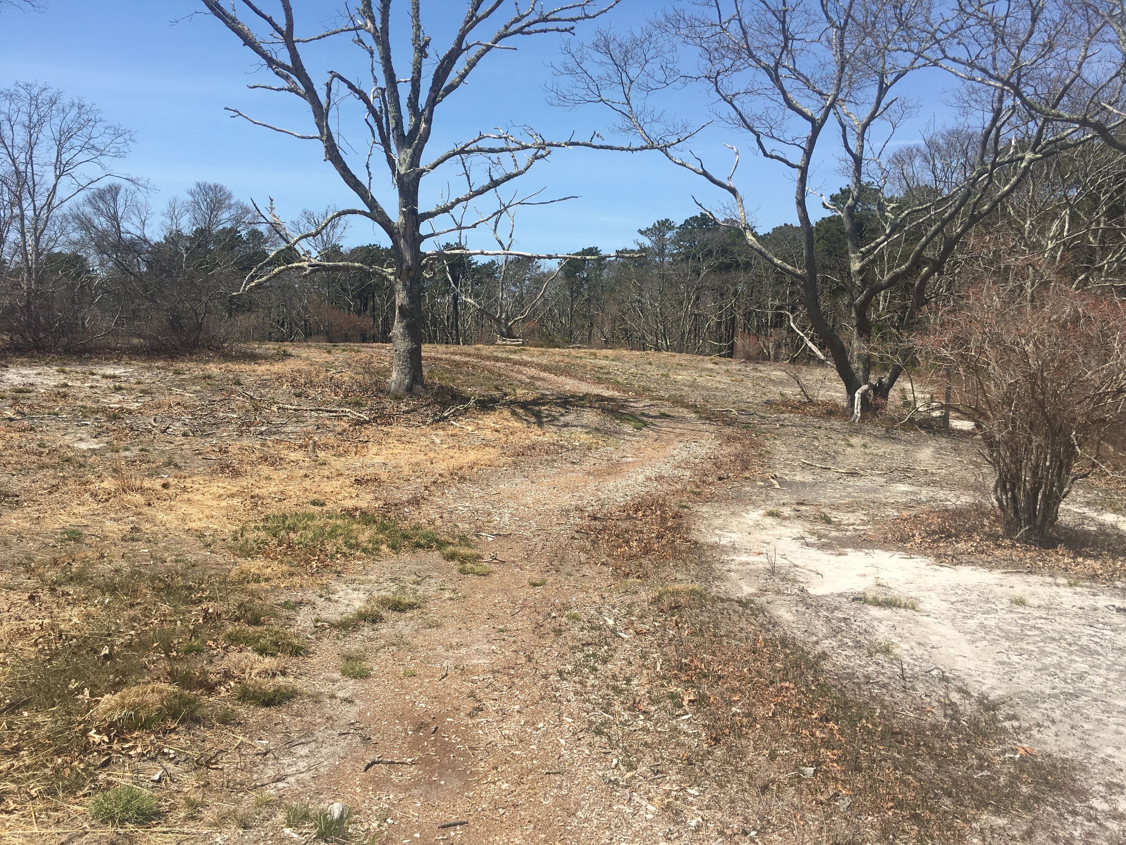 flat, open trail