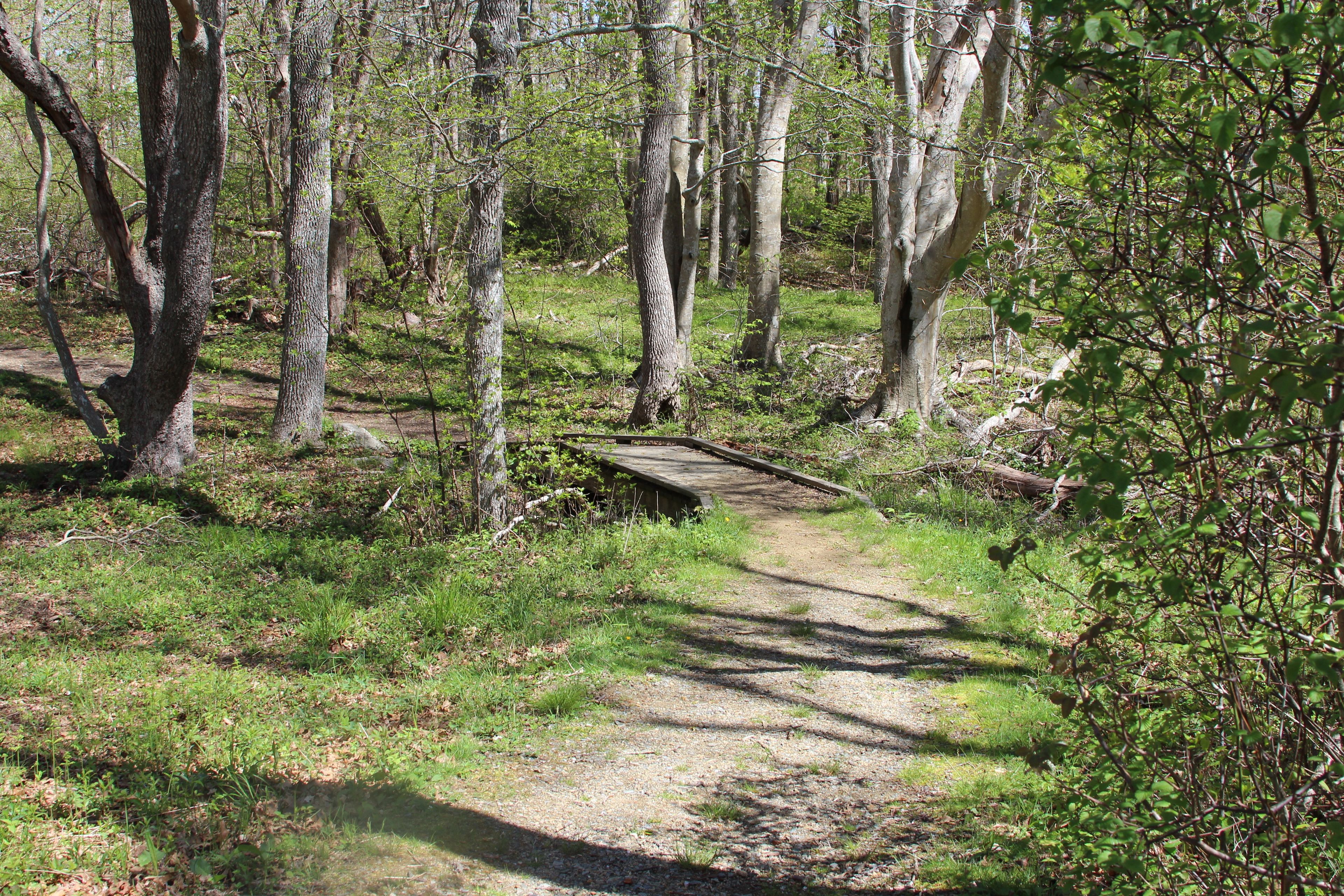 boardwalk at end nearest to parking