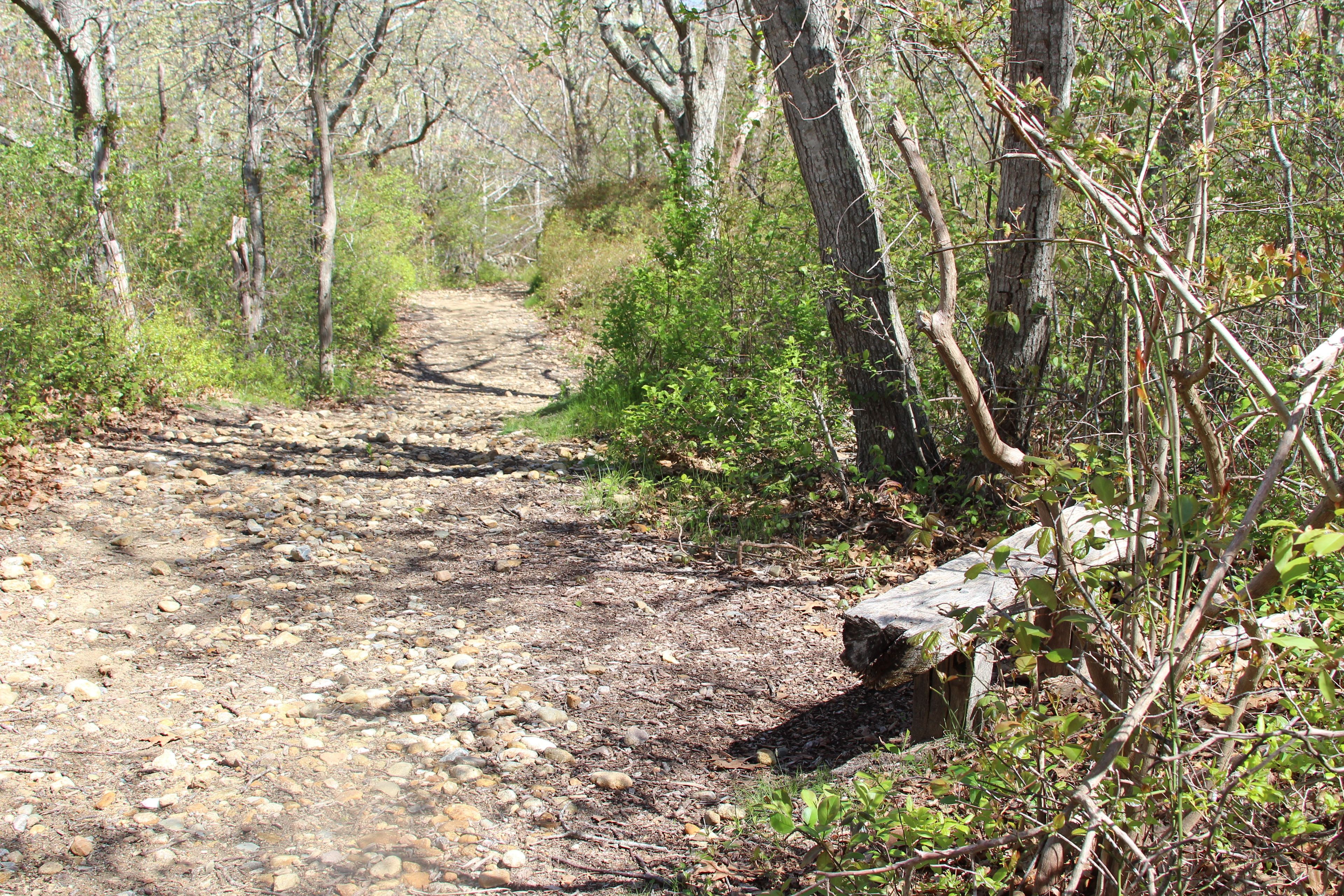 bench at rocky part of trail