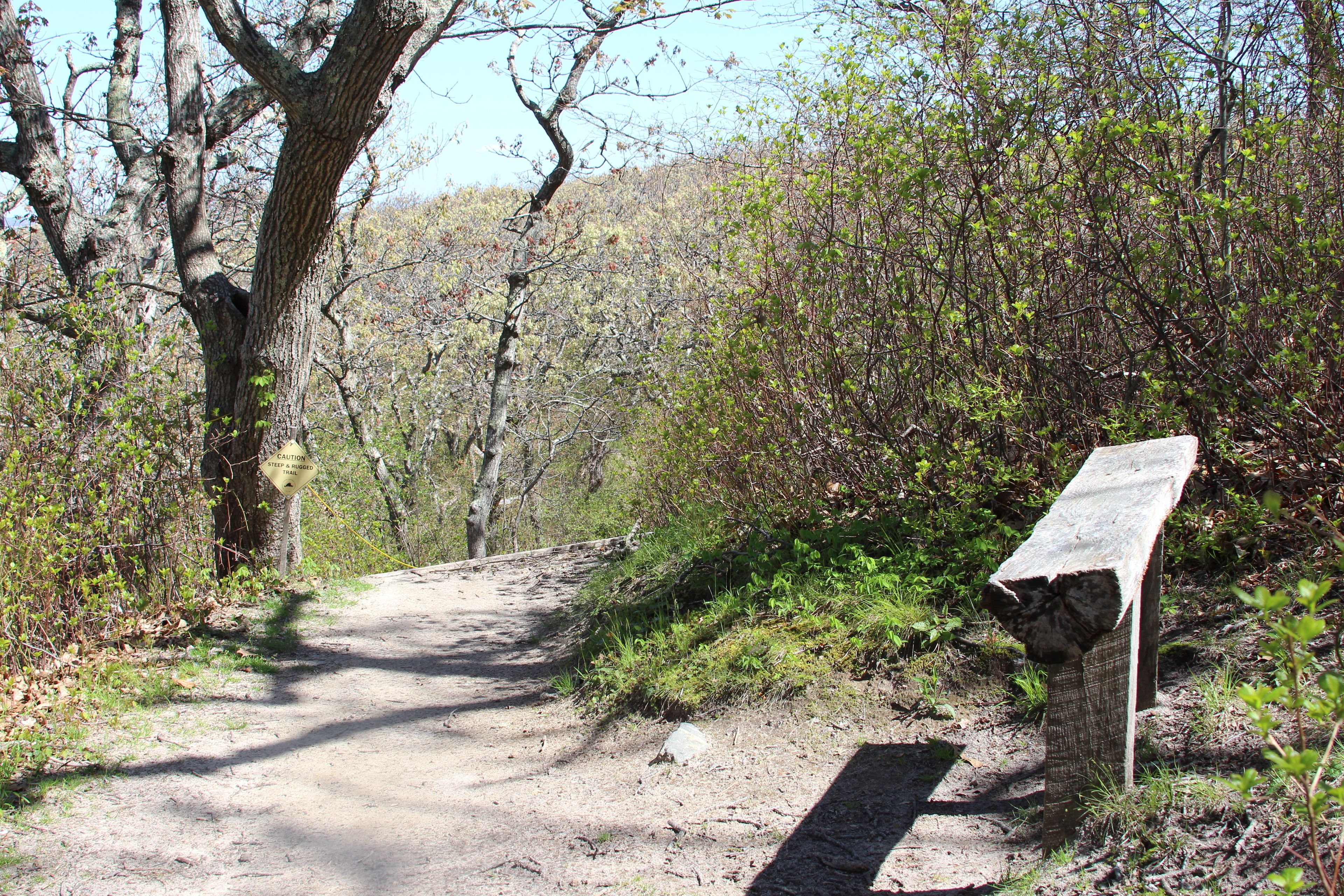 another bench along trail