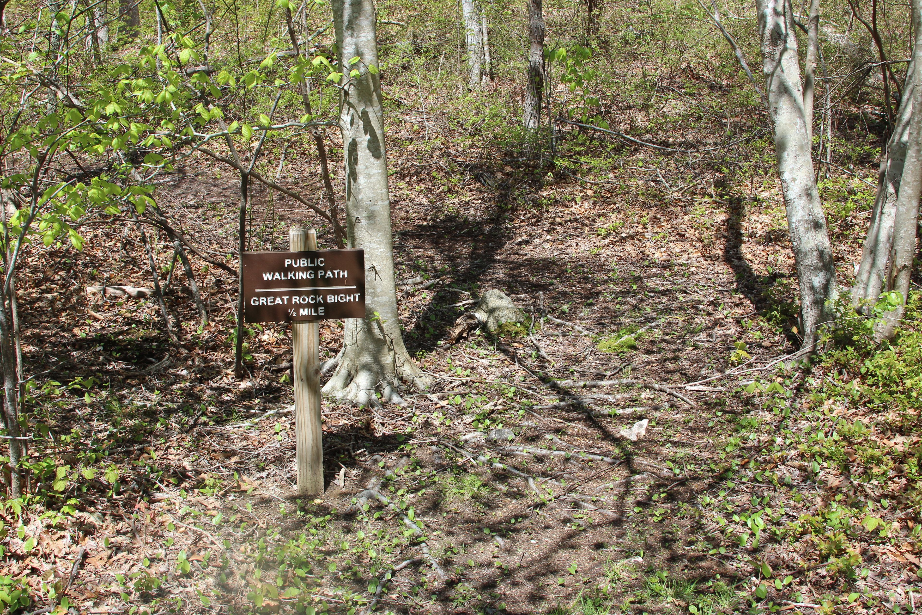 sign at North Road