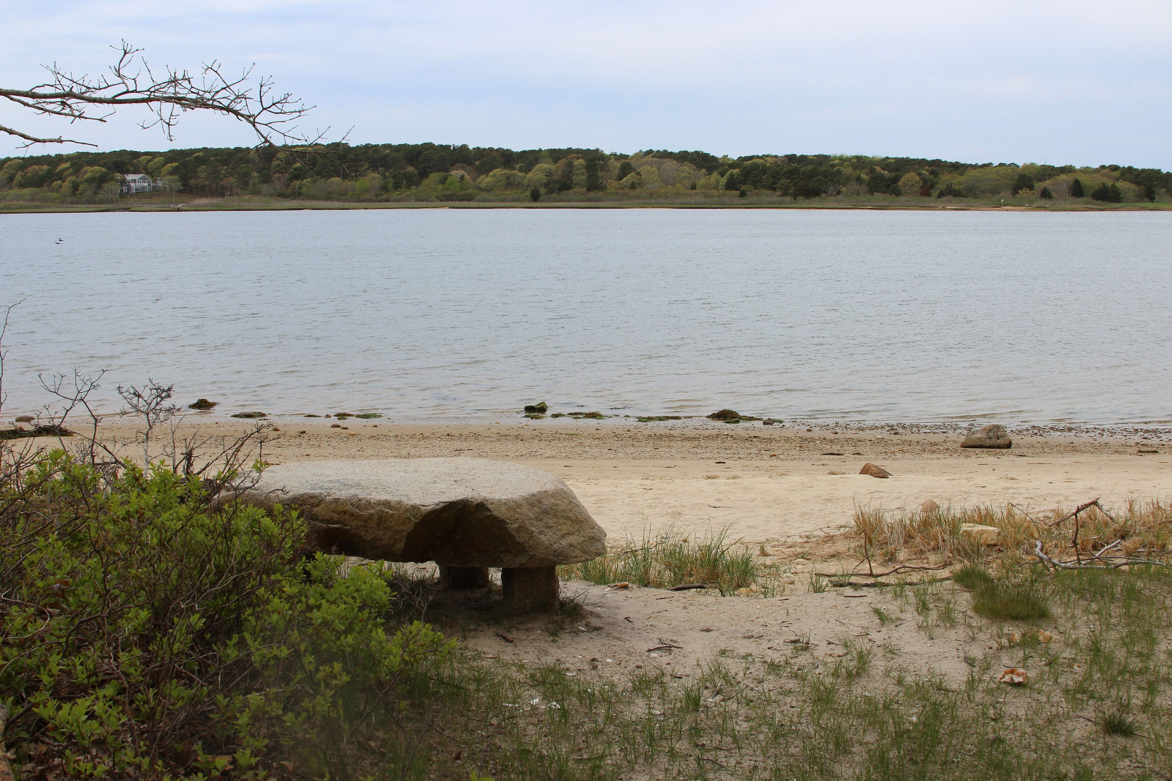 bench by Major's Cove