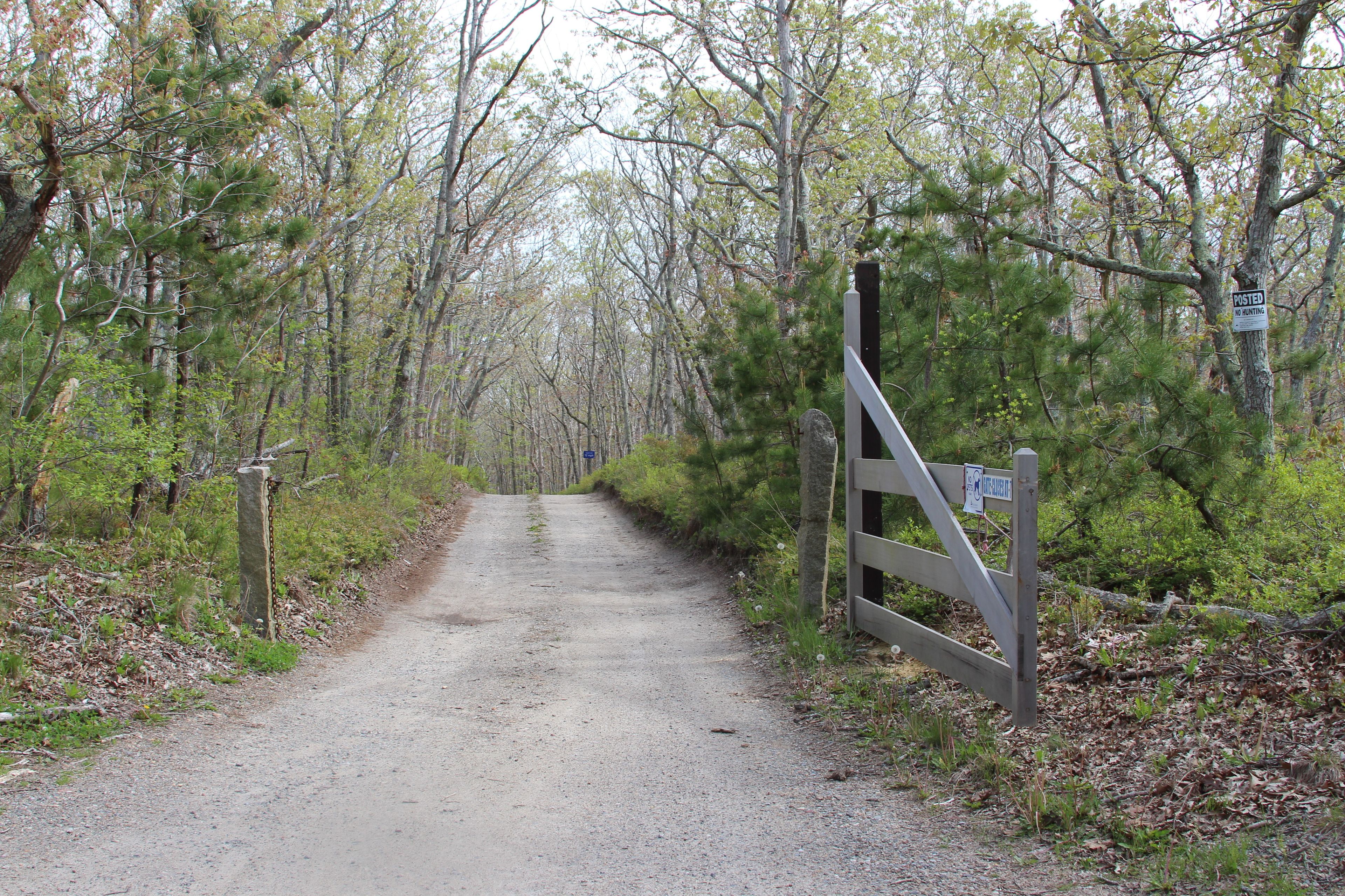 road in to Sanctuary