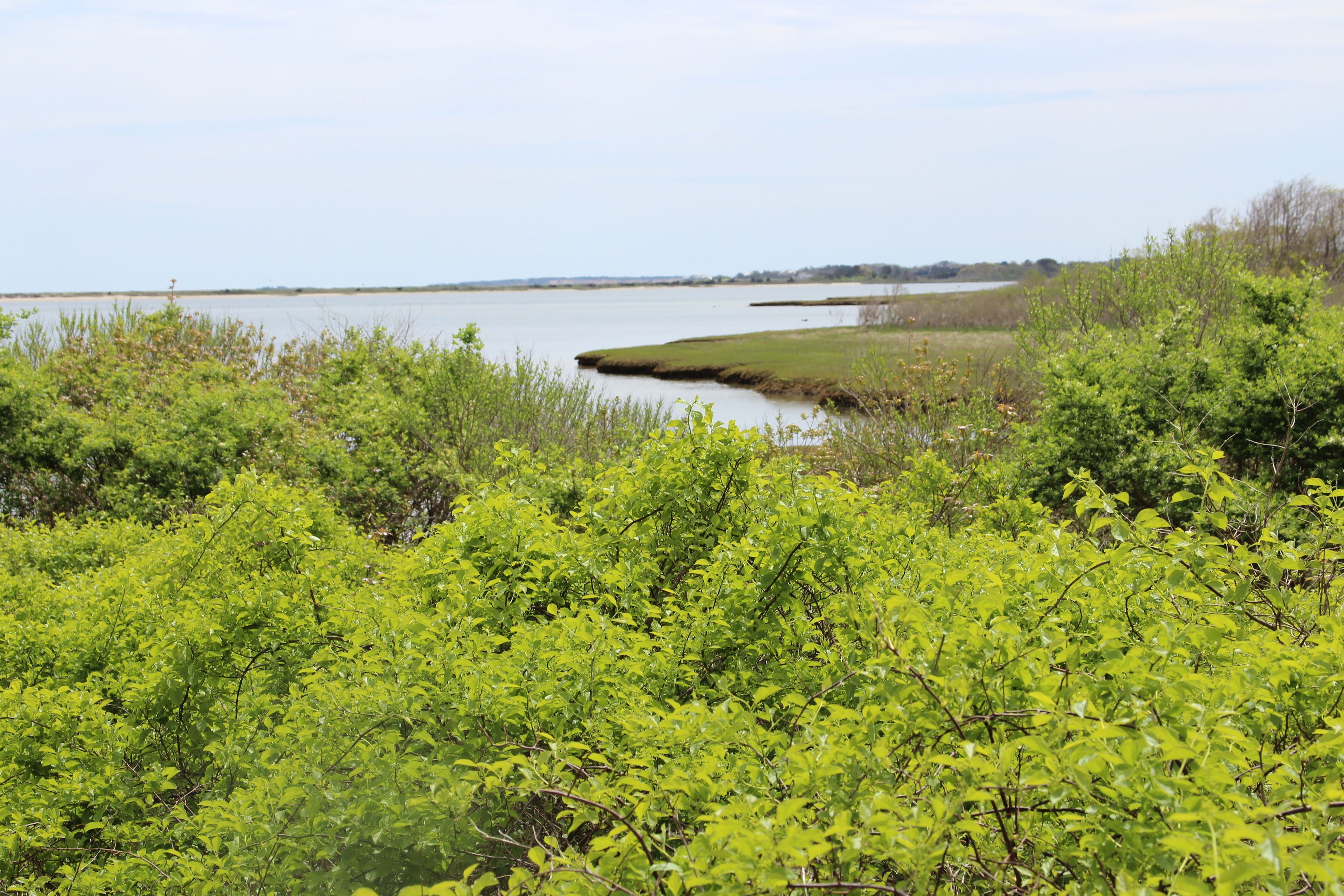 view of Moffett Cove