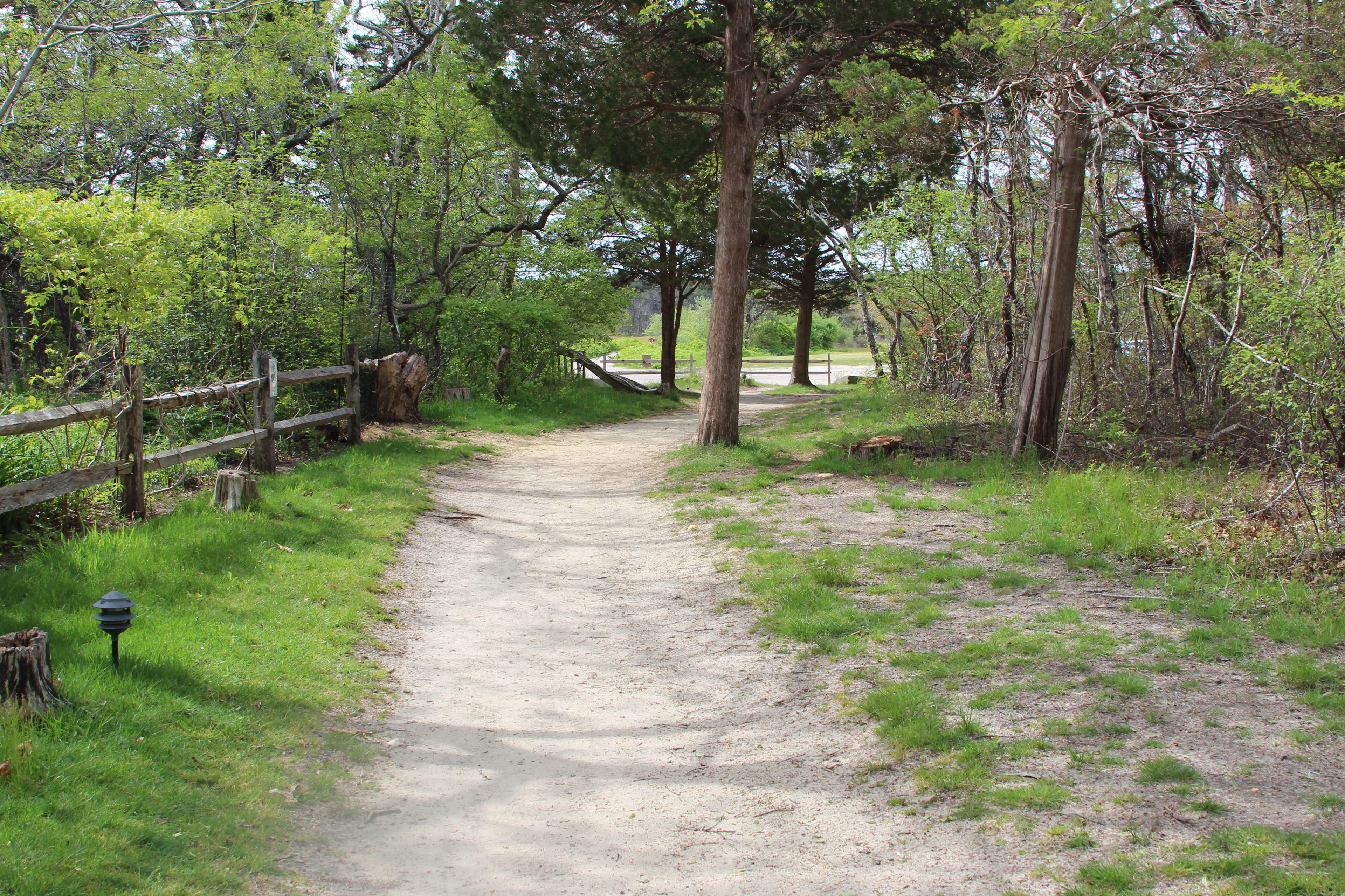 path between parking and visitor's center