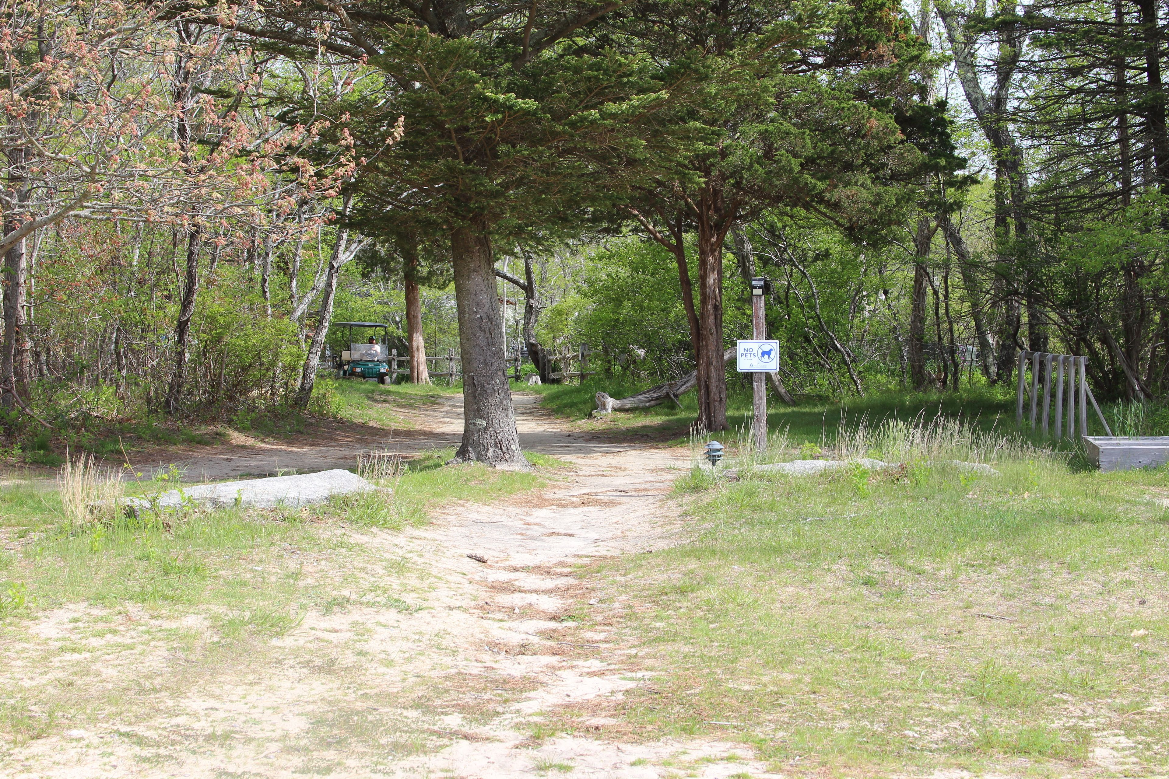 path from parking area