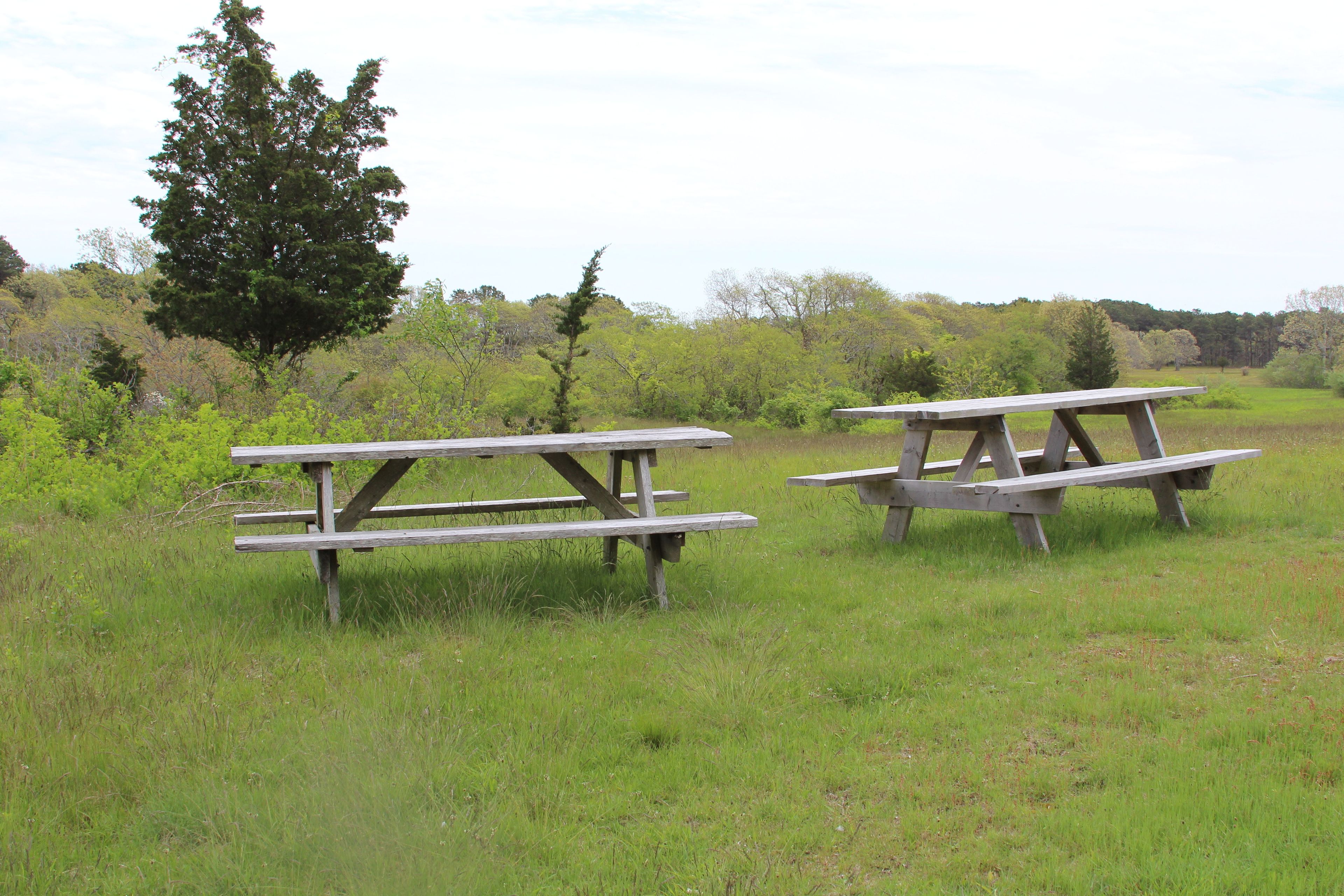 many picnic tables near Visitor's Center