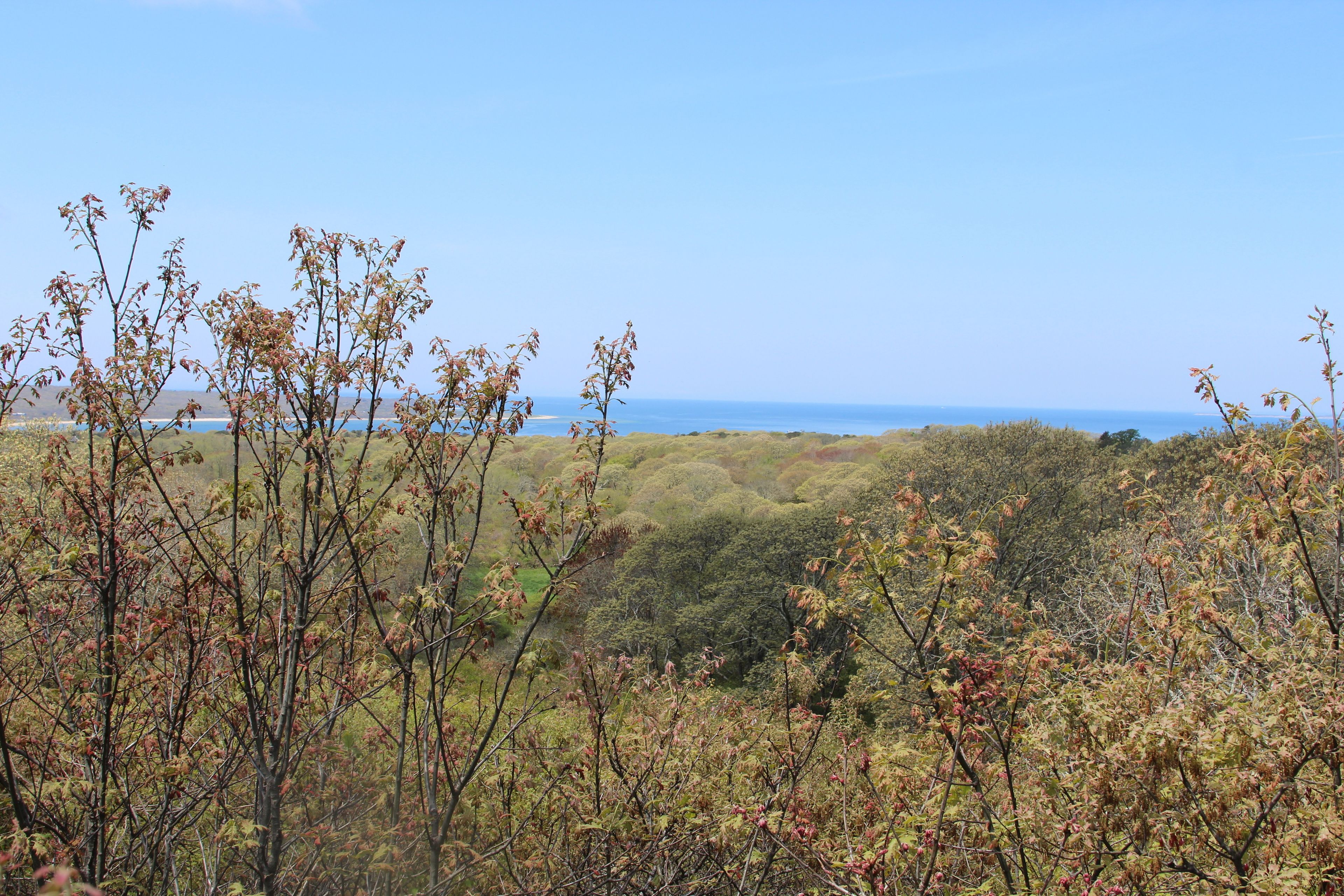 Vineyard Sound