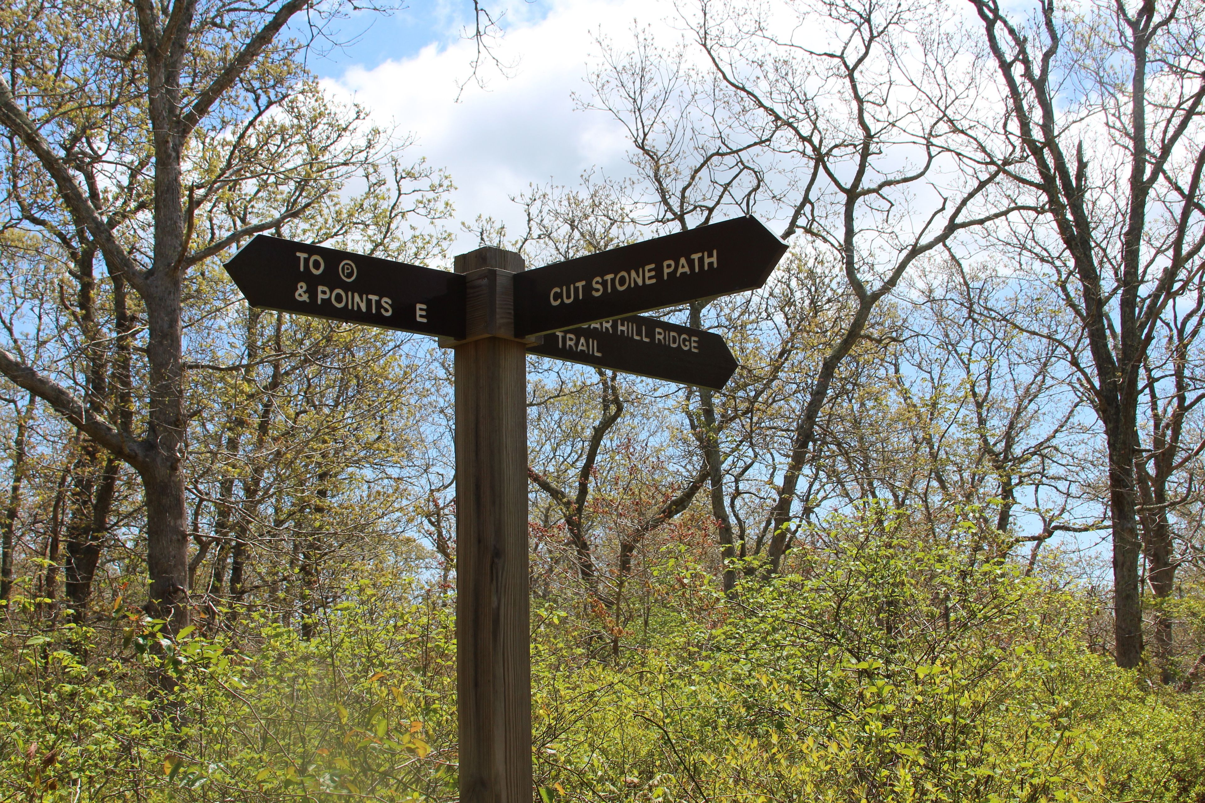 at intersection with White trail (Cut Stone Path)