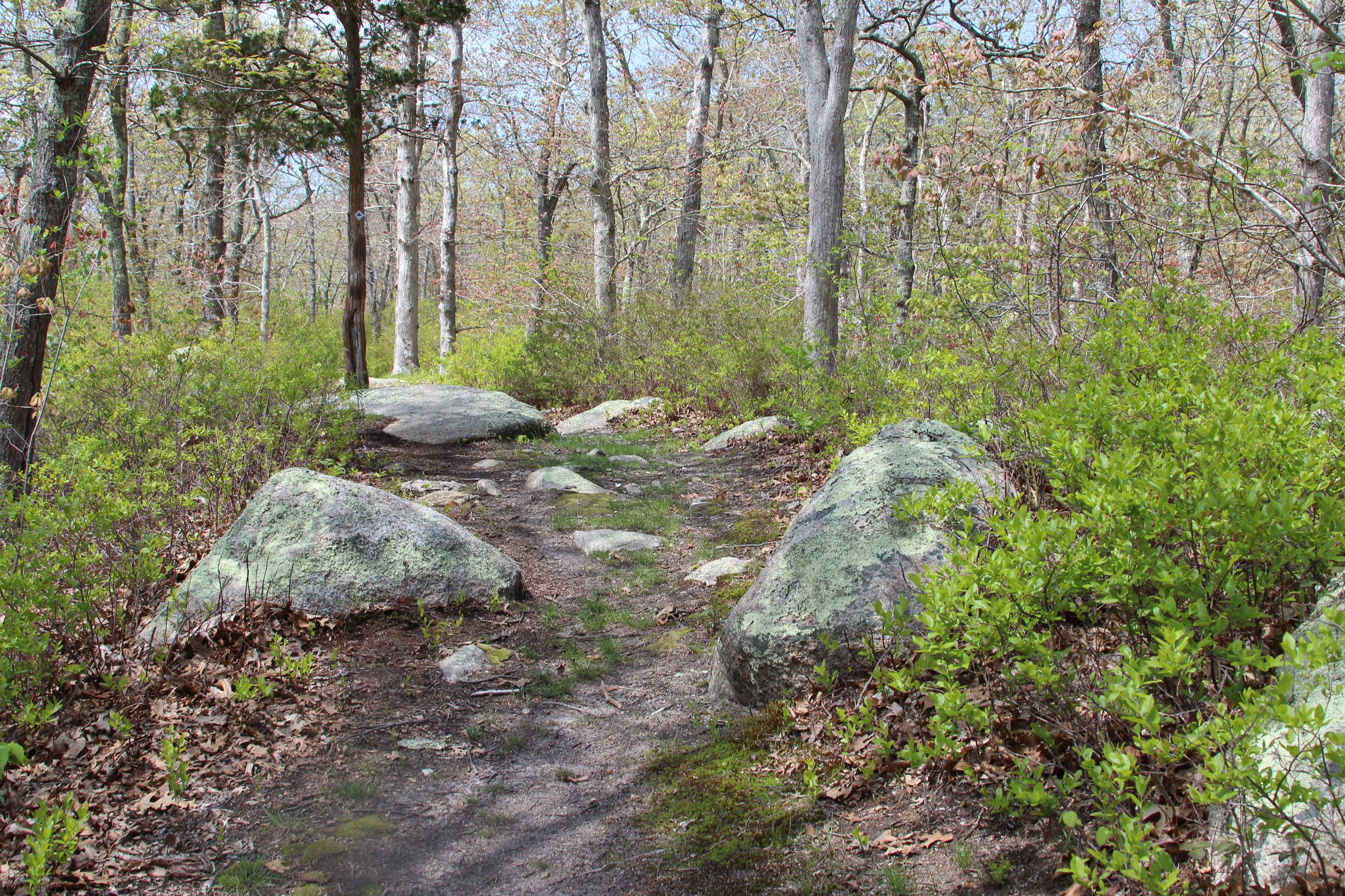 rocks along trail