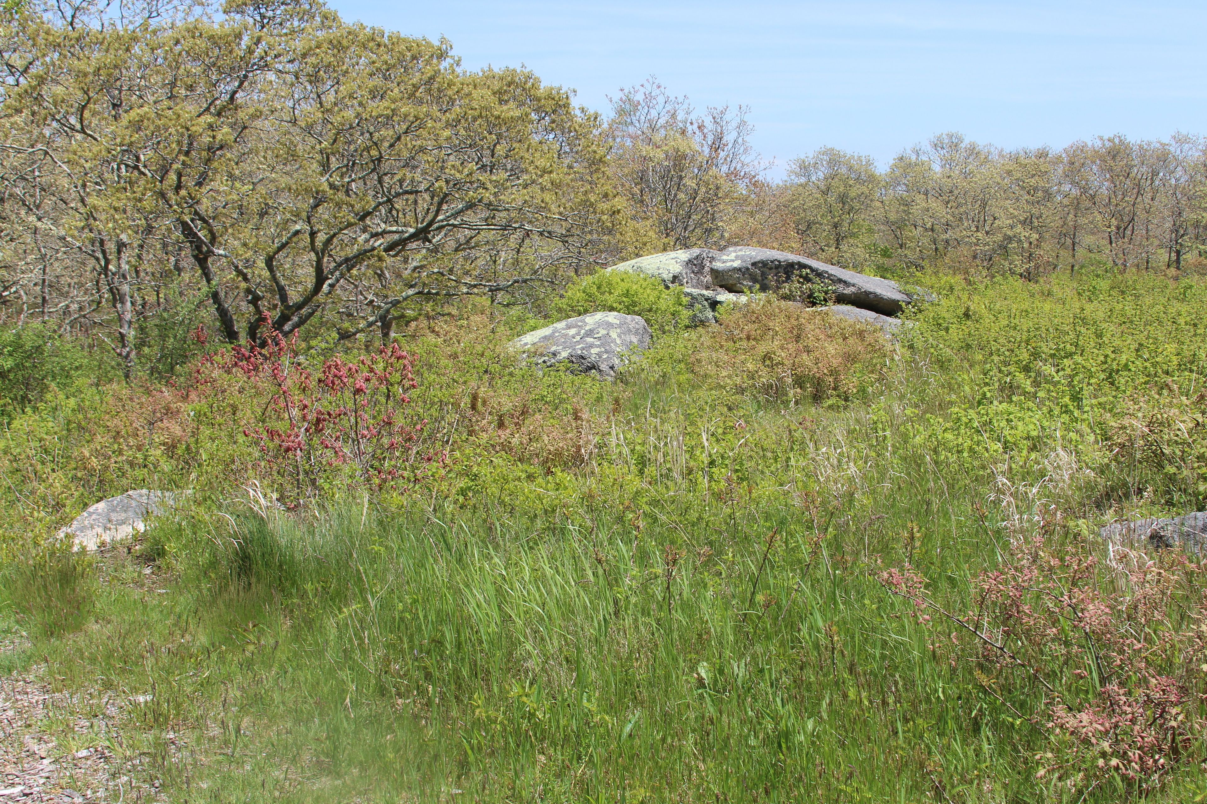 erratic alongside path