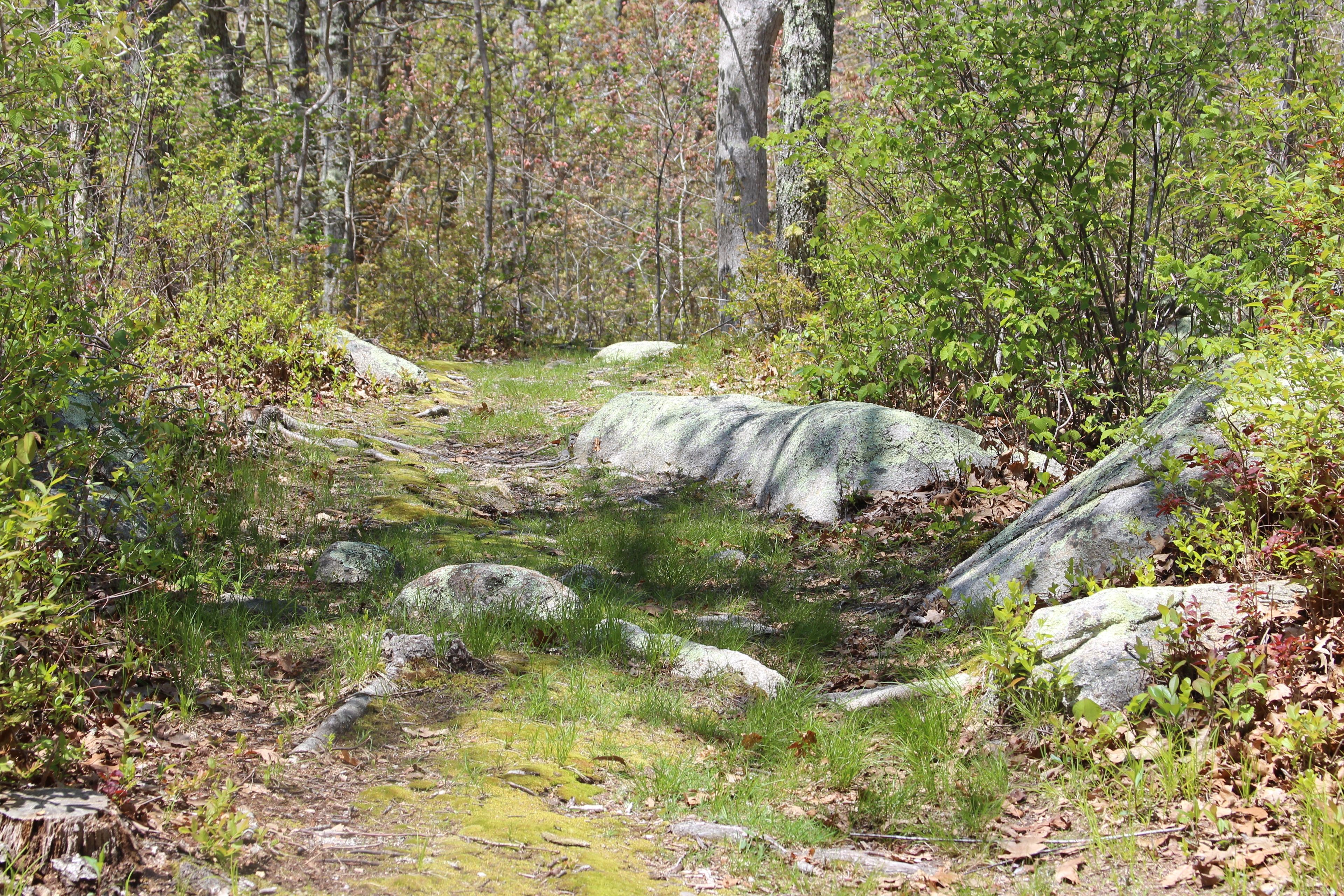 rocks along trail