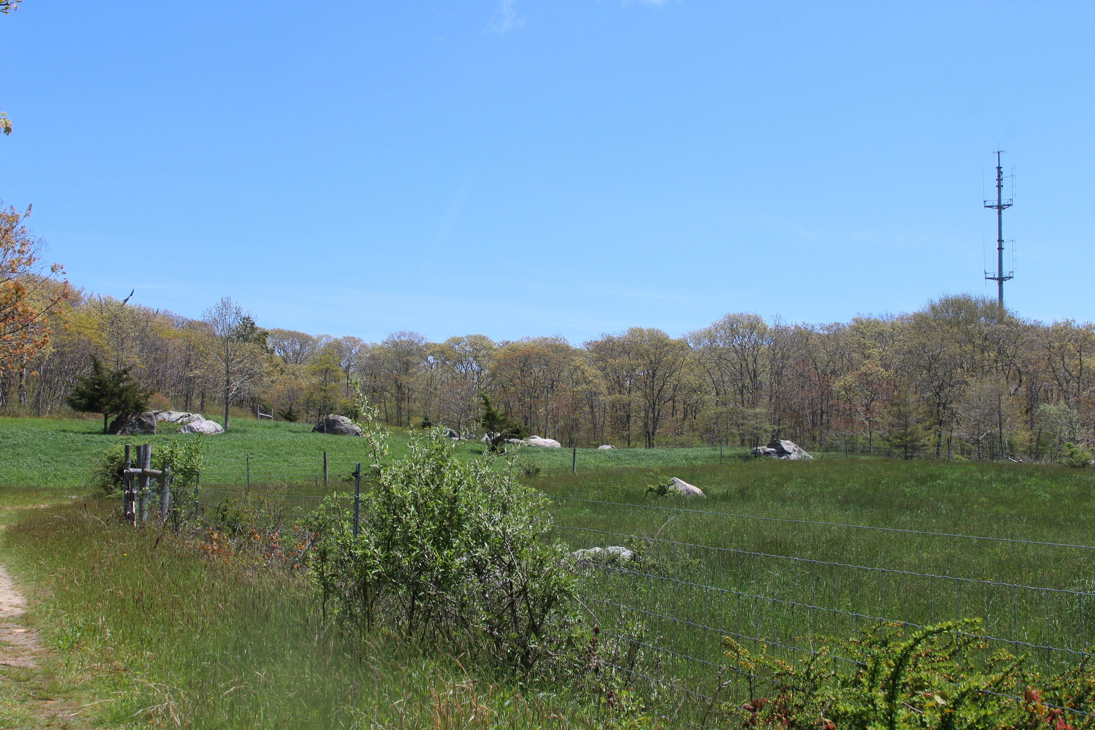 field with erratics