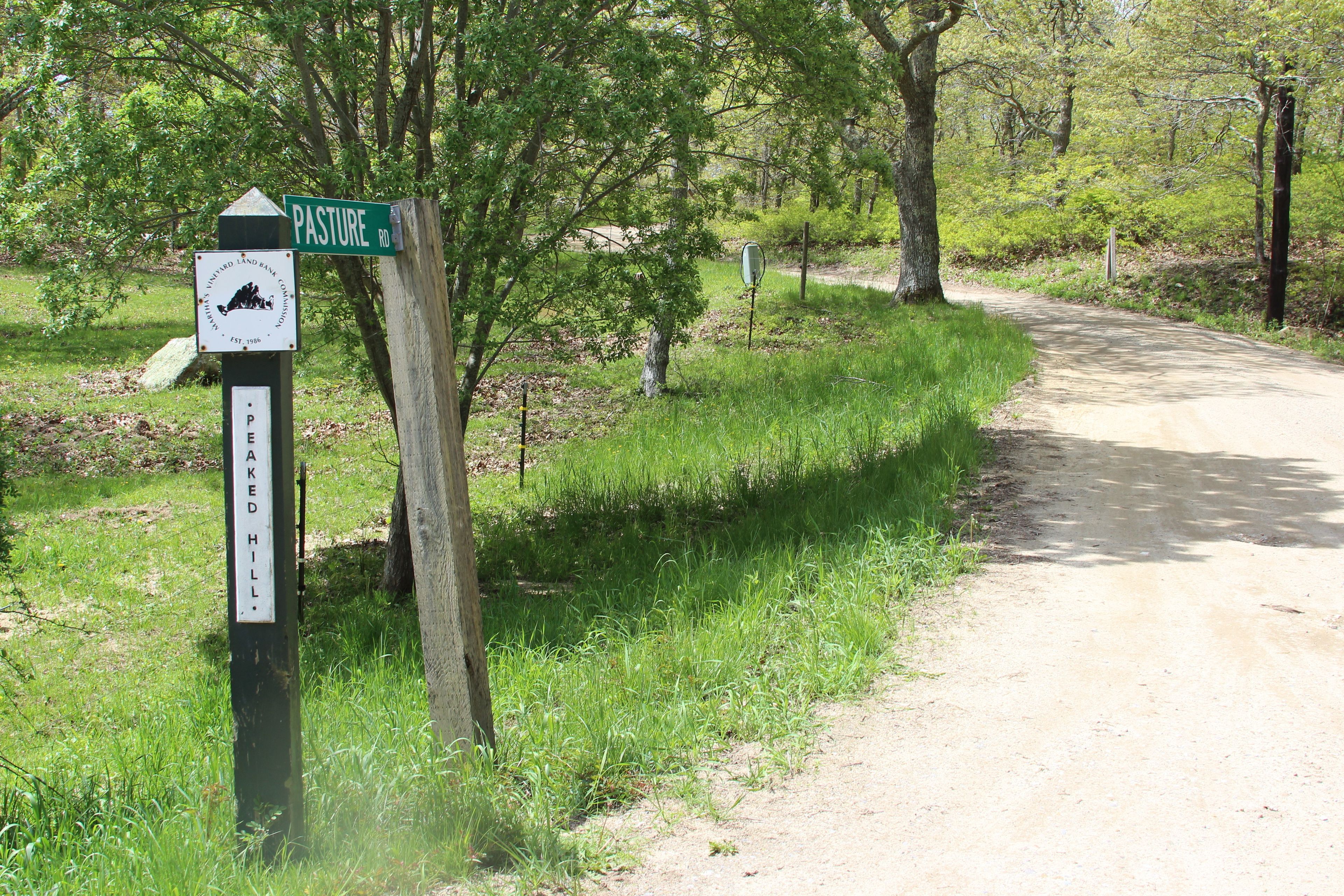 Pasture Road at Tabor House Road