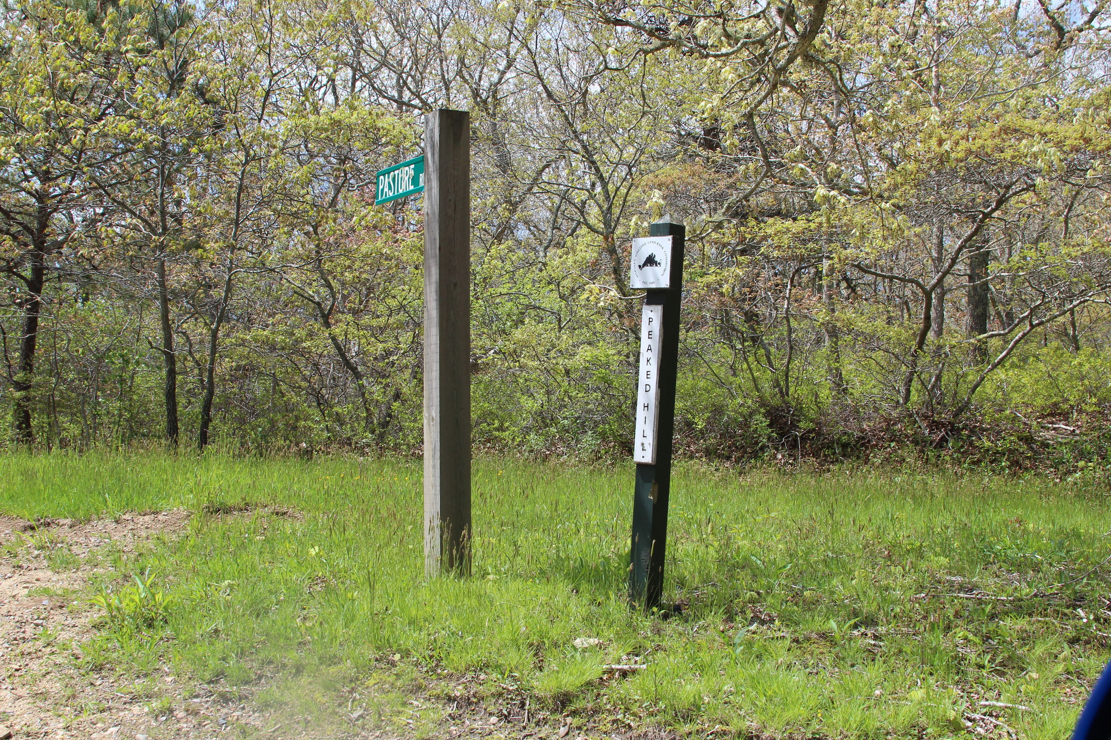 sign just before parking- go right!