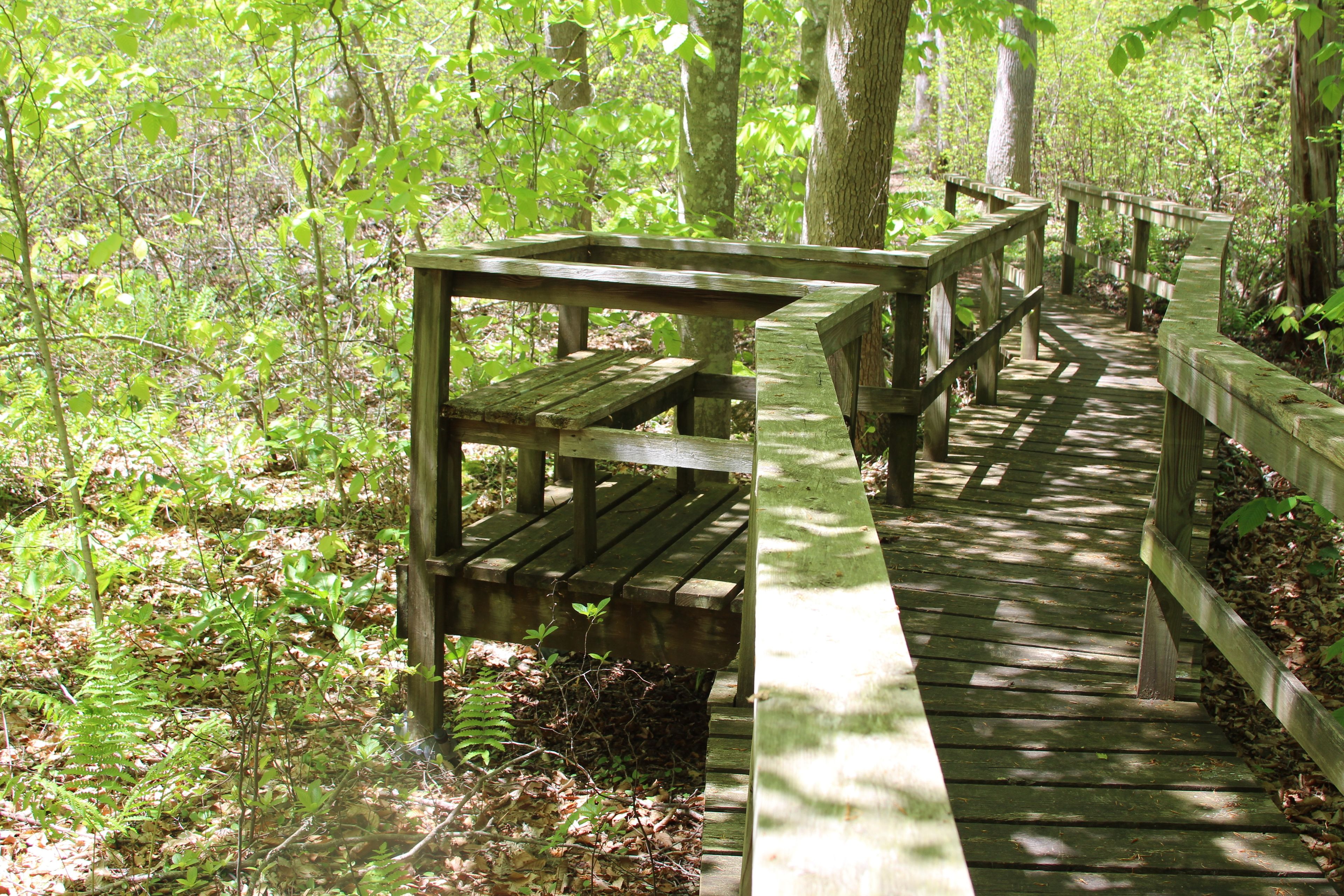 boardwalk and bench at northern end