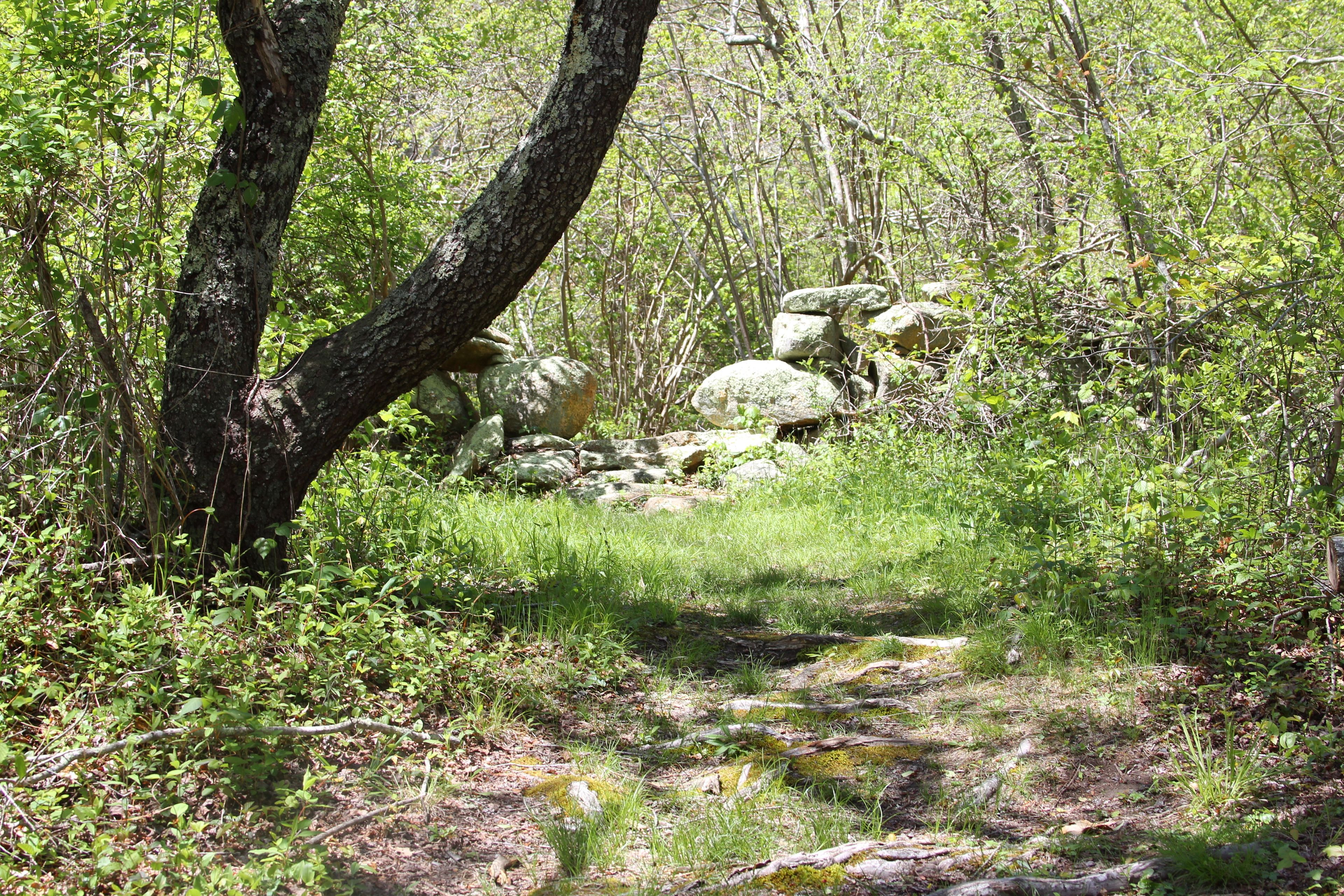 rocks along trail