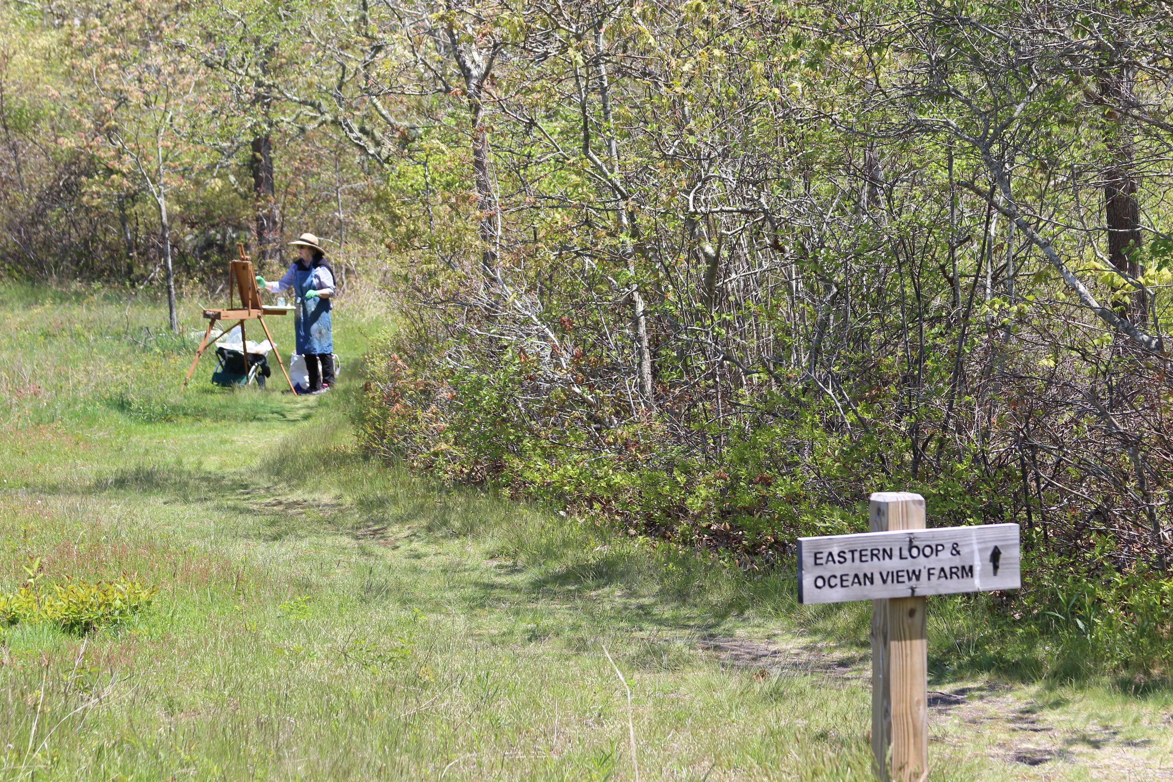 southern end of field