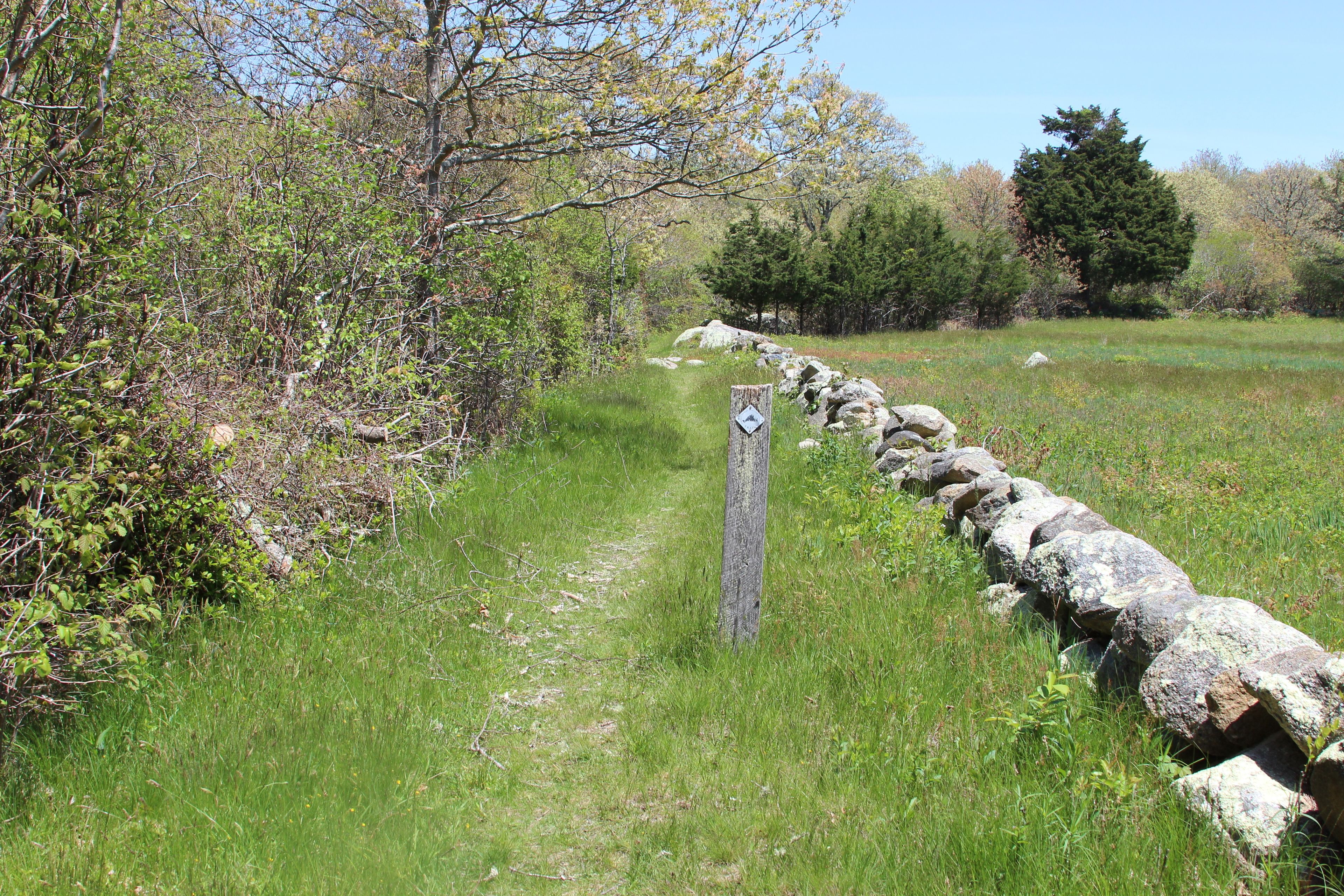 grassy trail along stone wall