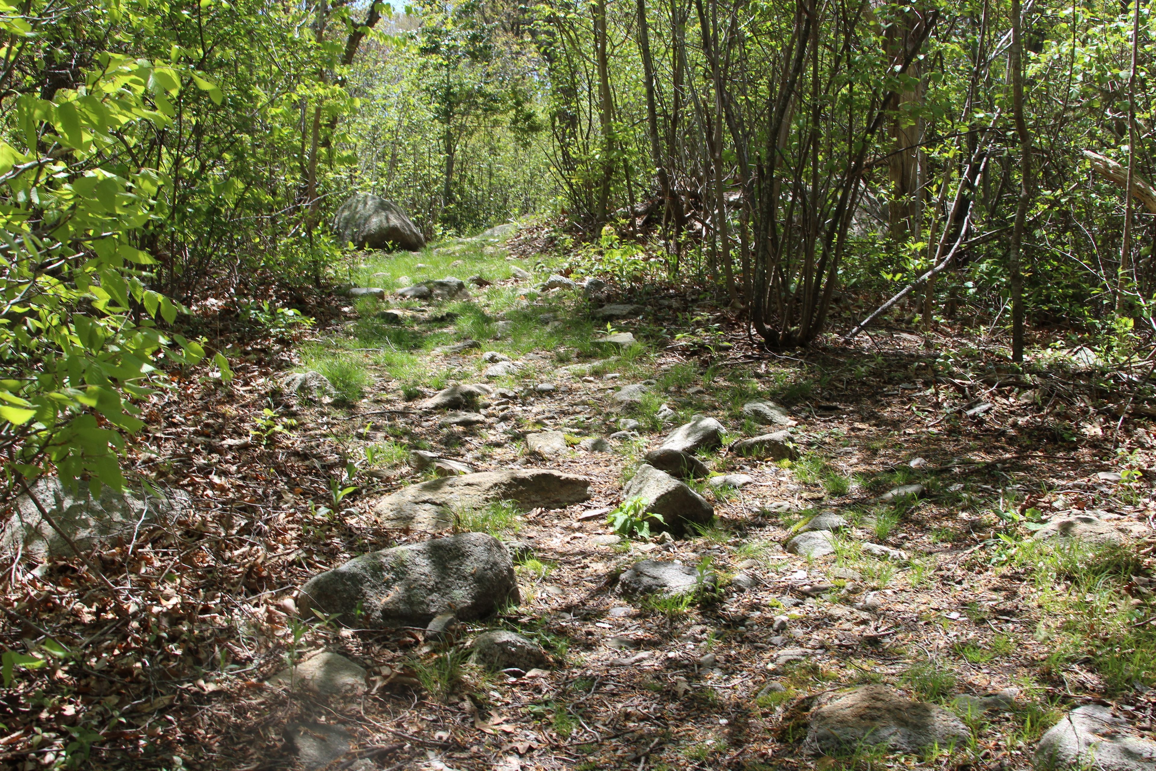 rocks along trail