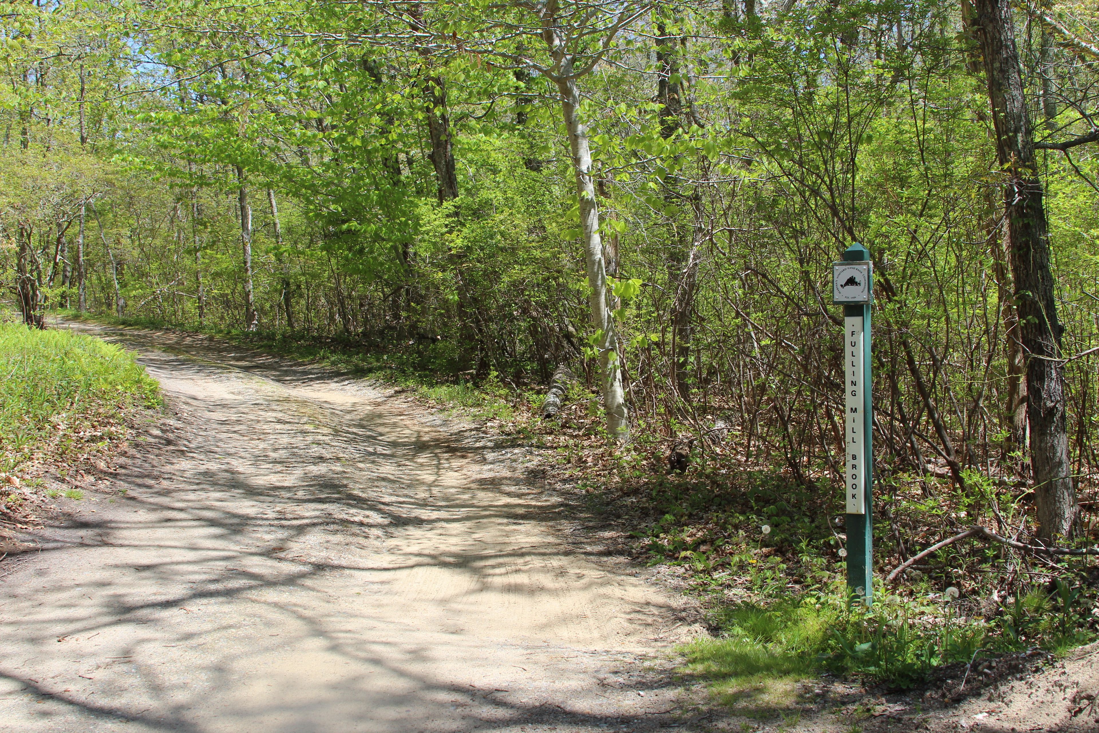 way in to parking