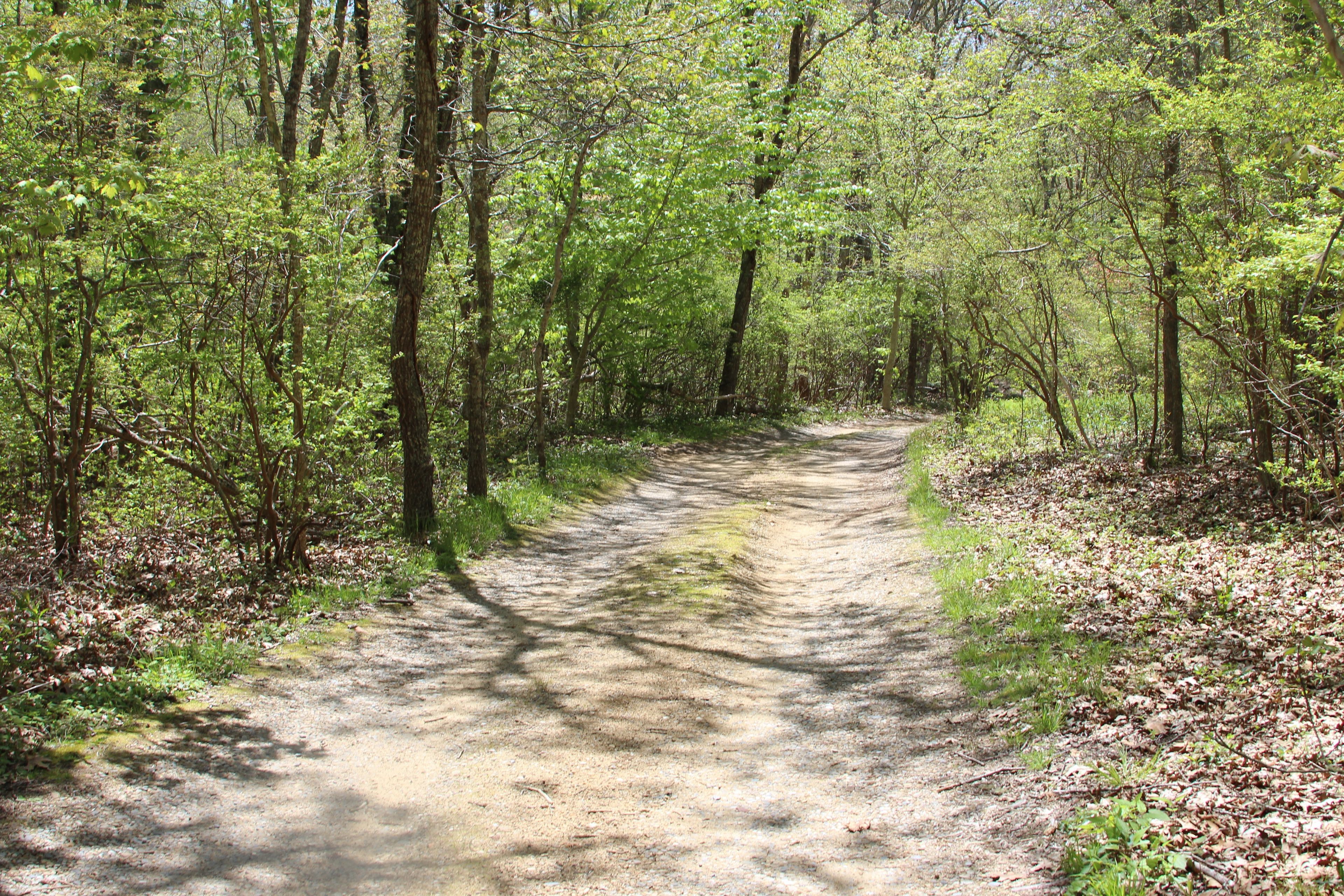 dirt road to parking